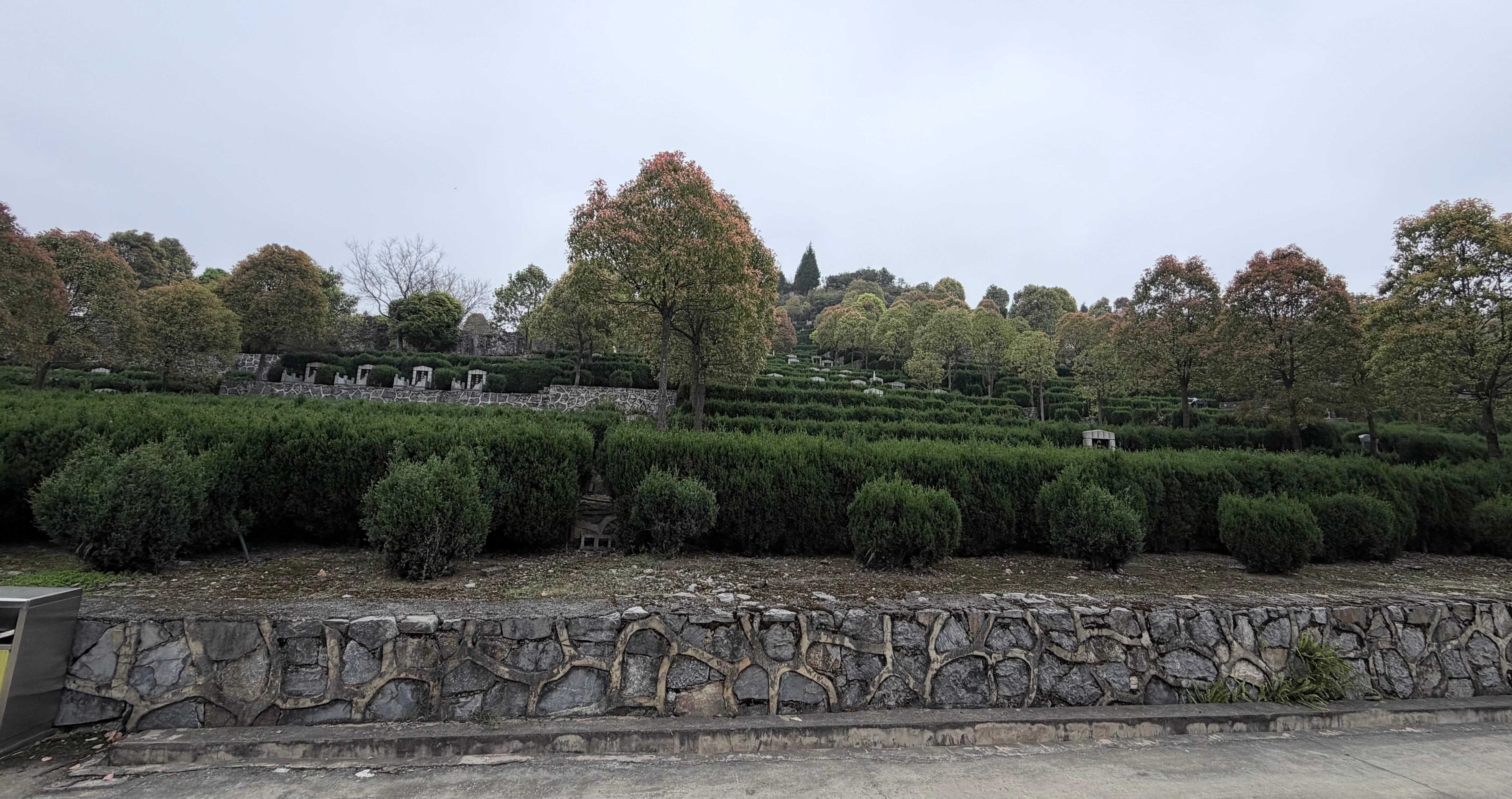 镇宁自治县城市公益性公墓园区图片