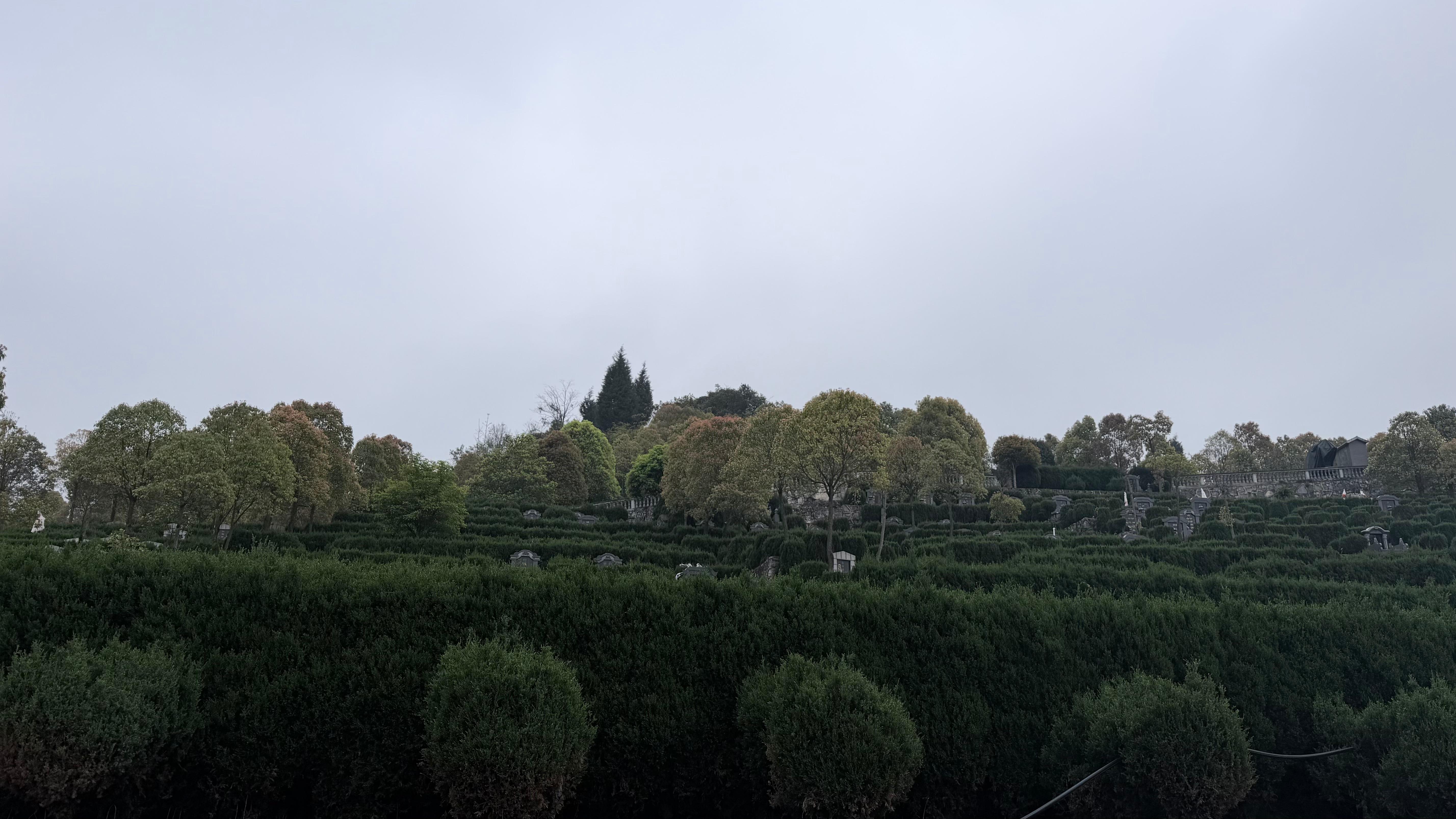 镇宁自治县城市公益性公墓园区图片