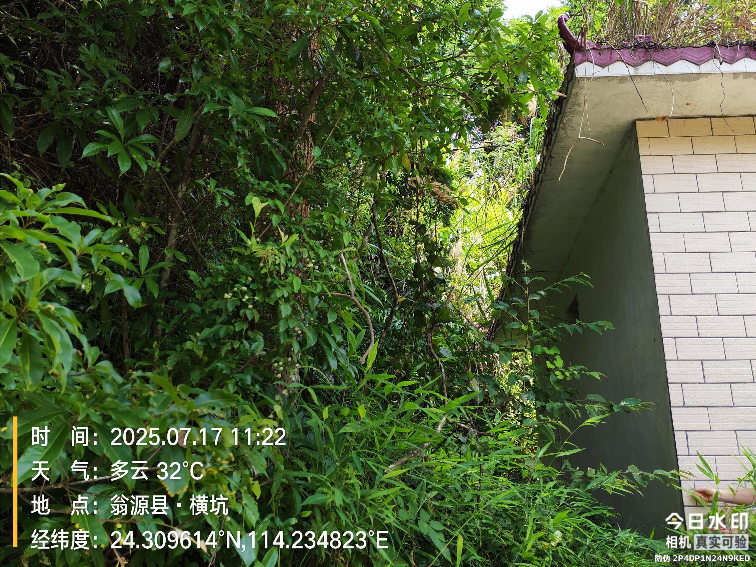 韶关市翁源县青山村王公坑骨灰楼园区图片
