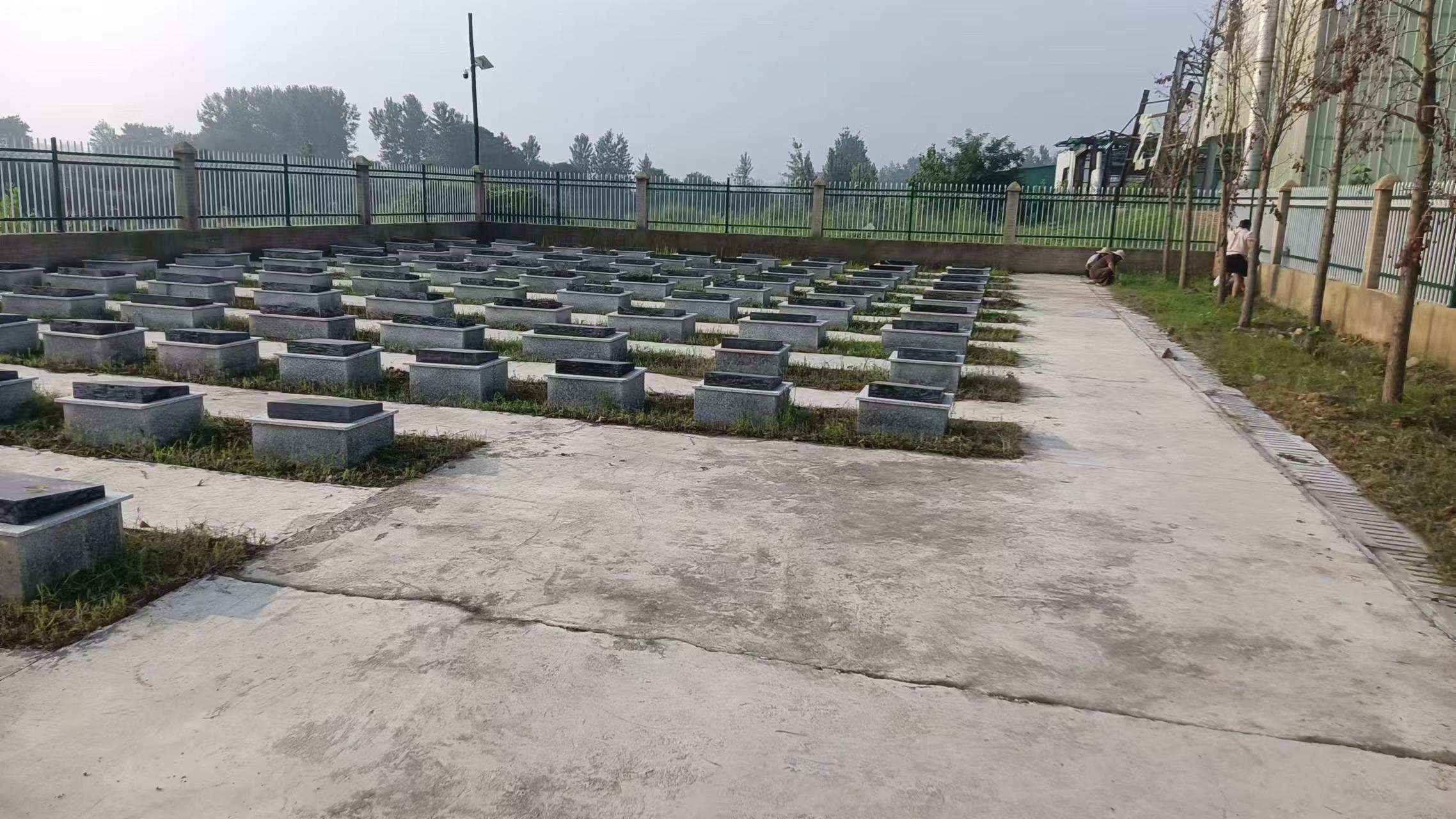 郭庙镇公墓园区图片