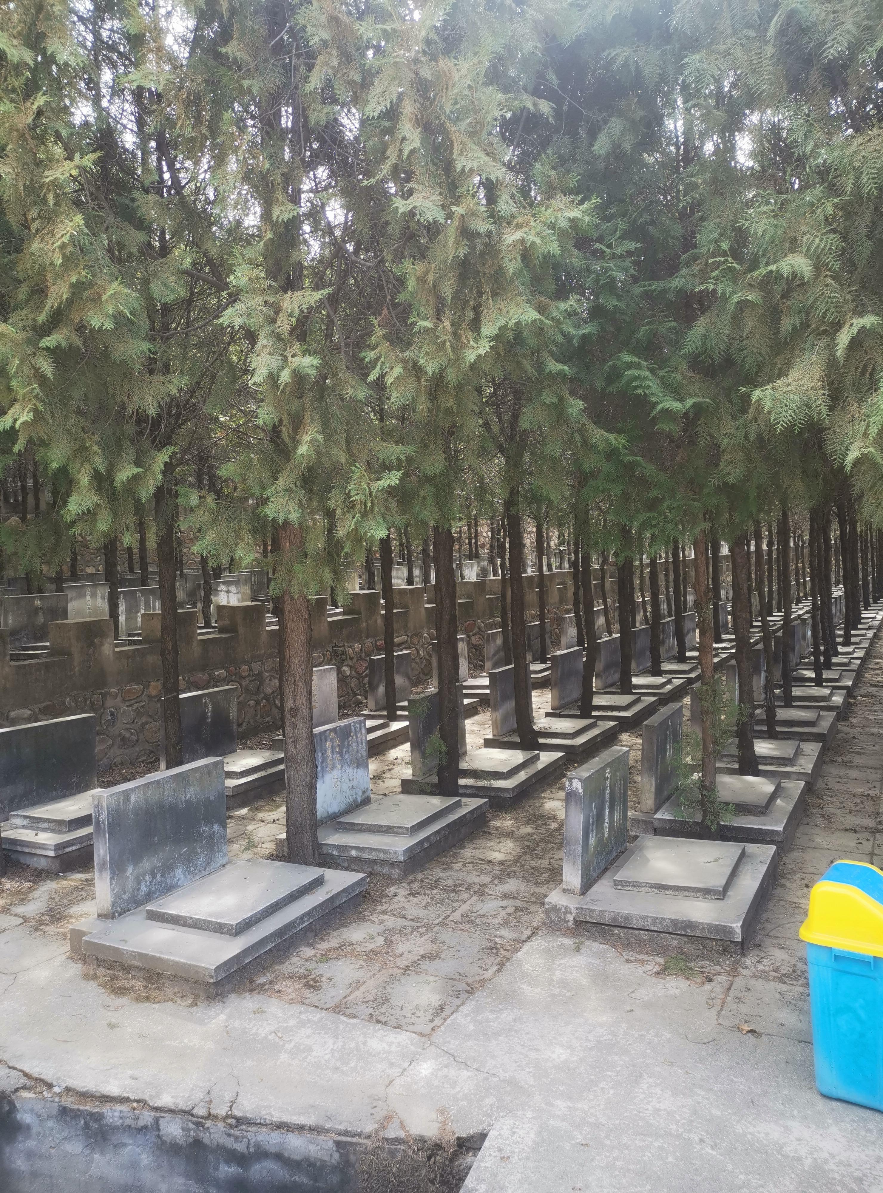 天水公益性公墓园区图片