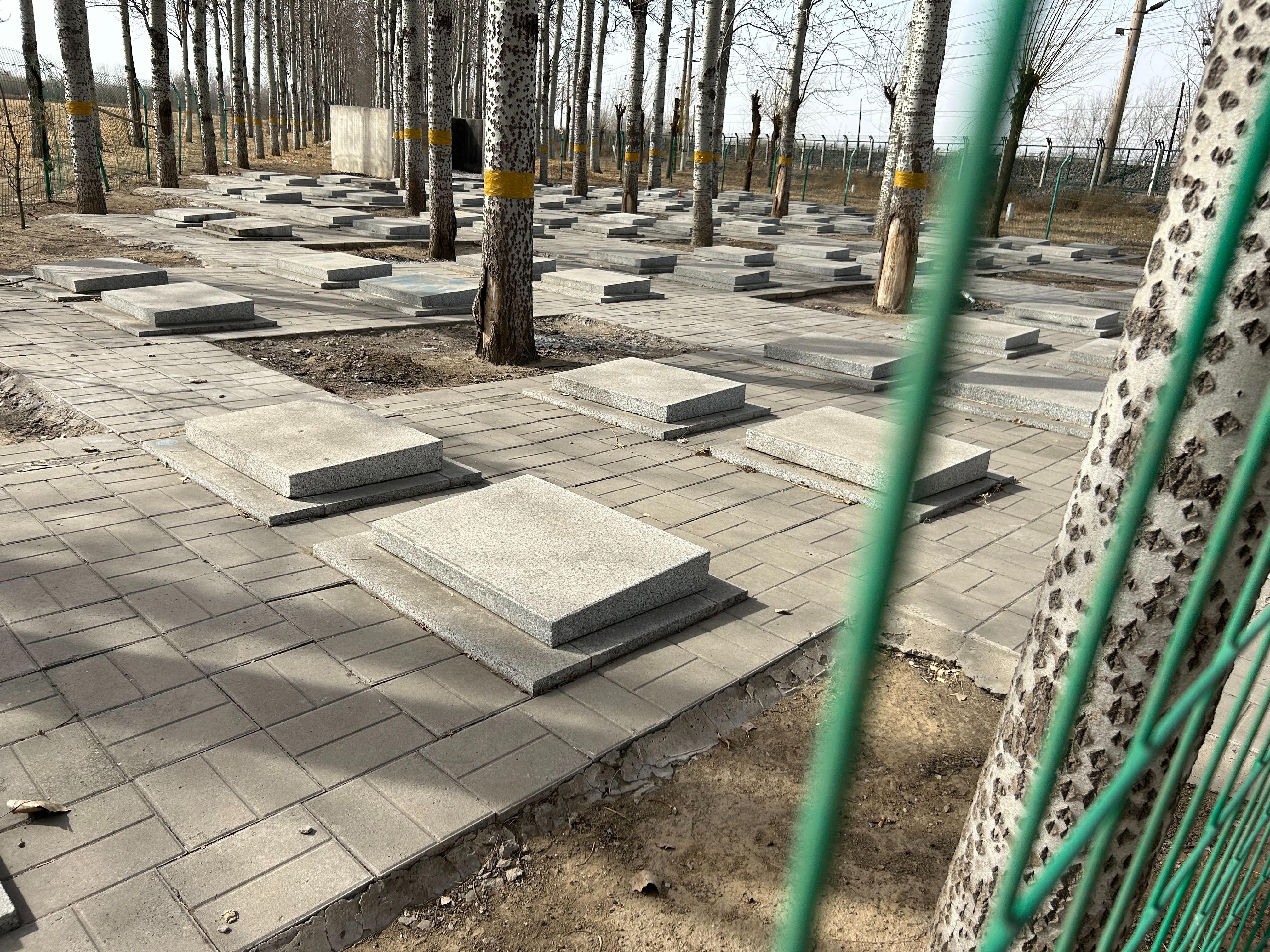 杨镇破罗口村公益性公墓园区图片