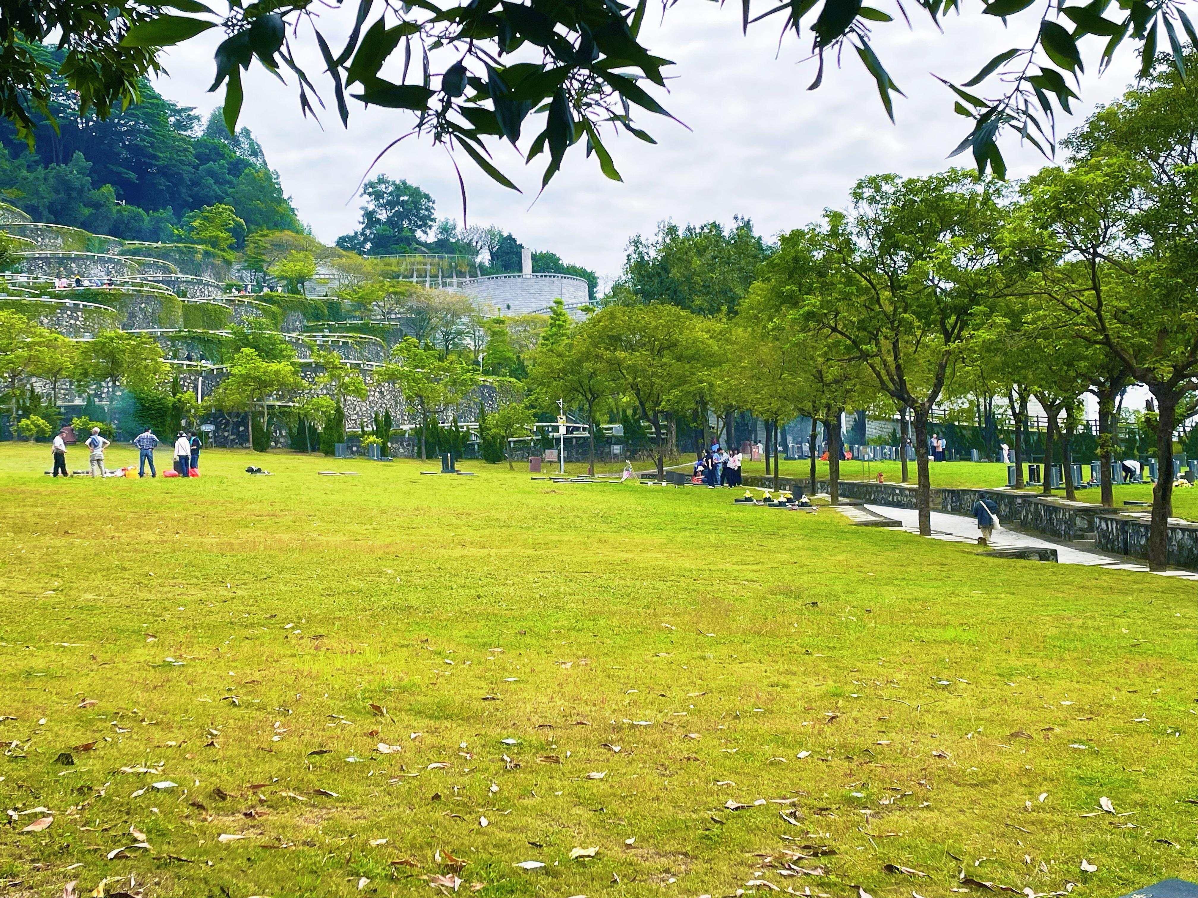 深圳市宝安区航城街道安颐园园区图片