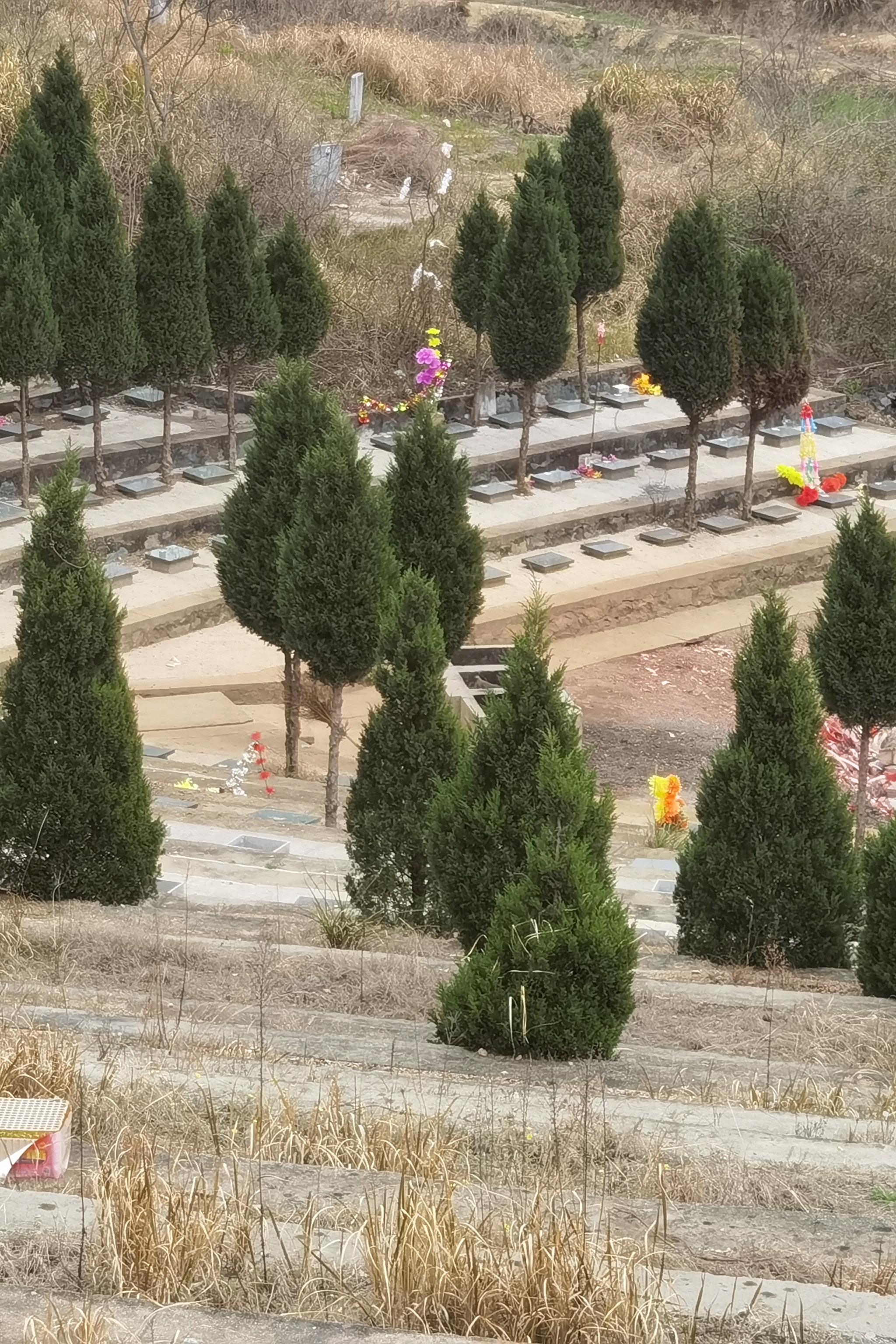 潜山市源潭镇望货尖公益性公墓园区图片