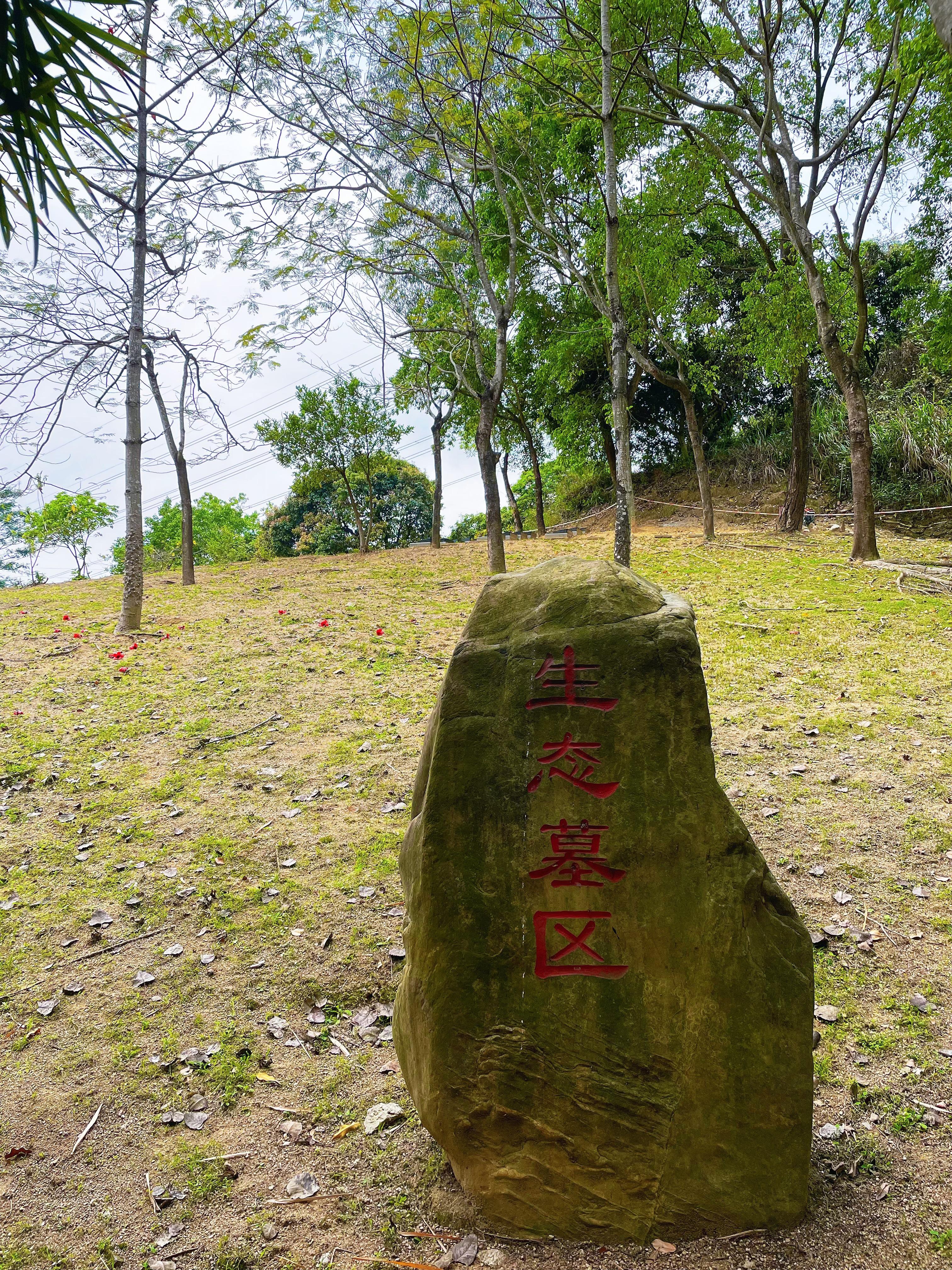 深圳市宝安区航城街道安颐园园区图片