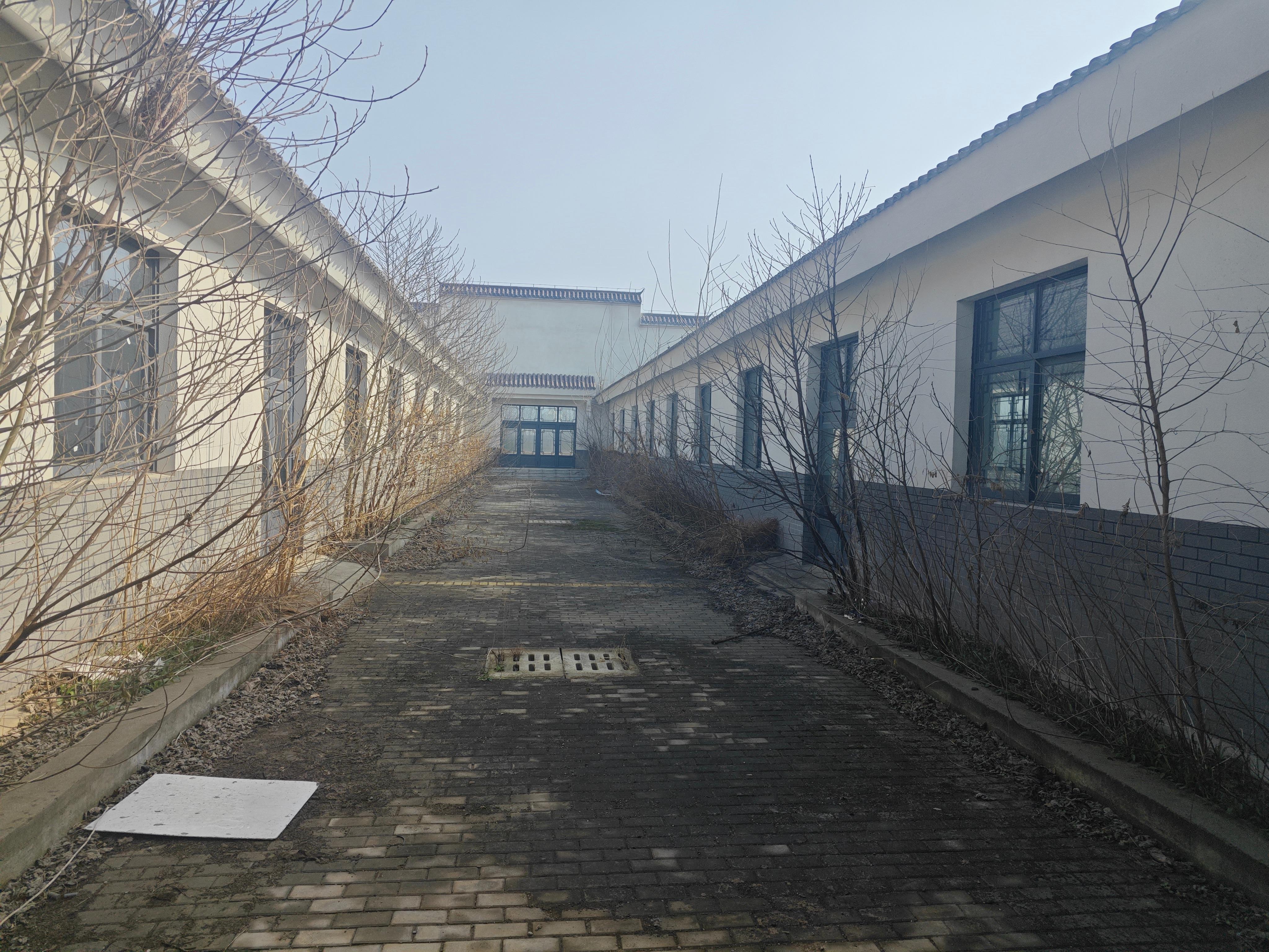 栏杆集镇长岗林场公墓园区图片