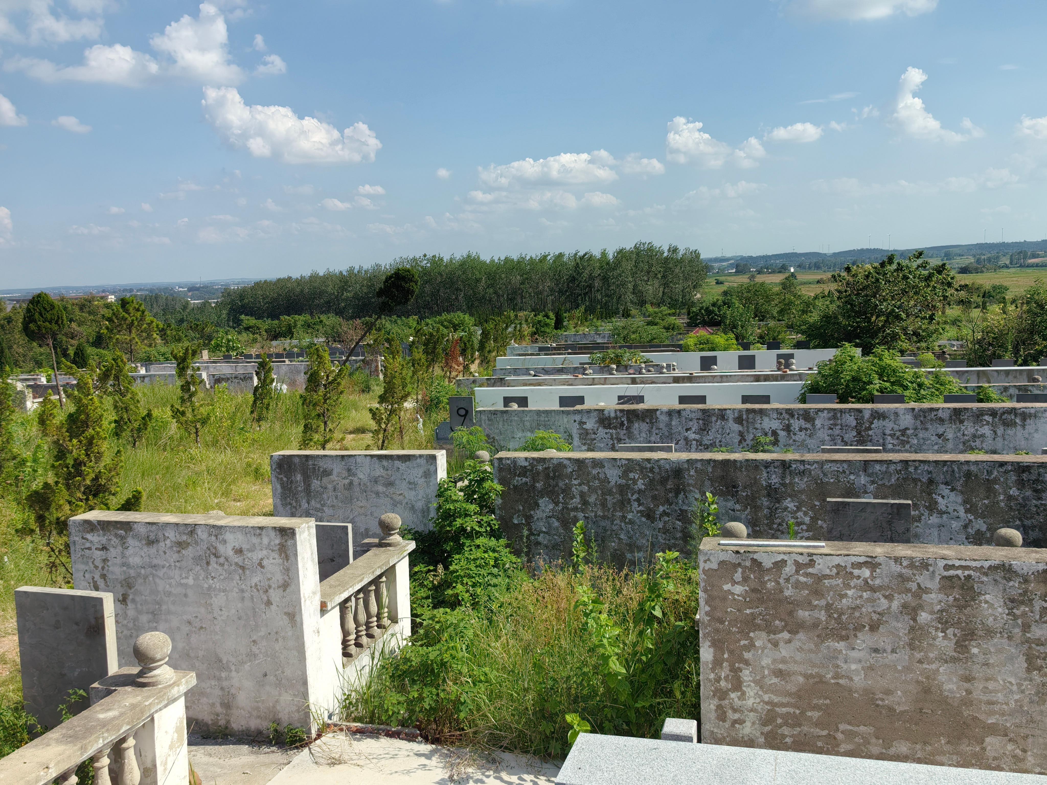 圩山公墓园区图片
