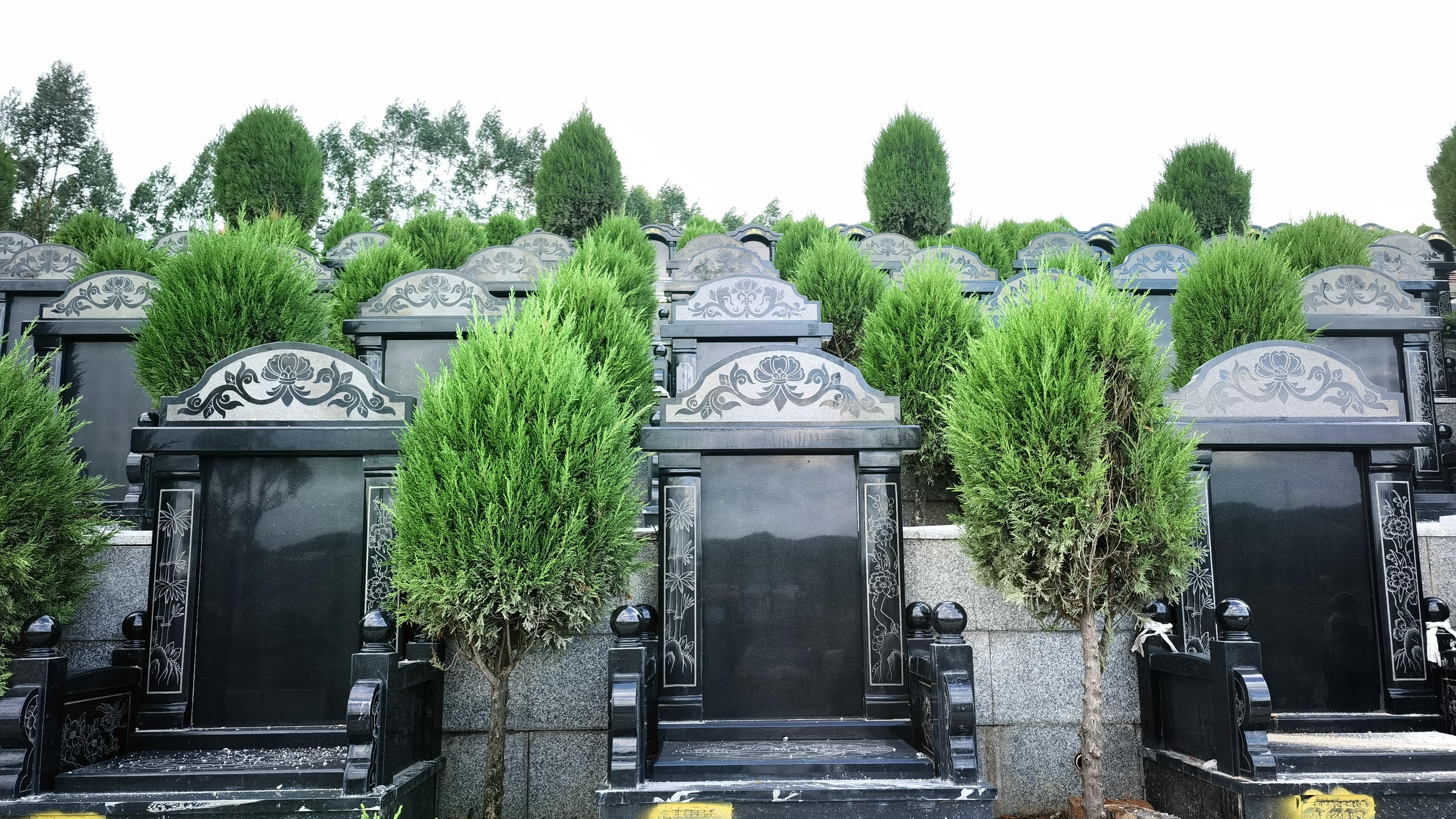 宾阳县天堂生态陵园管理服务中心园区图片