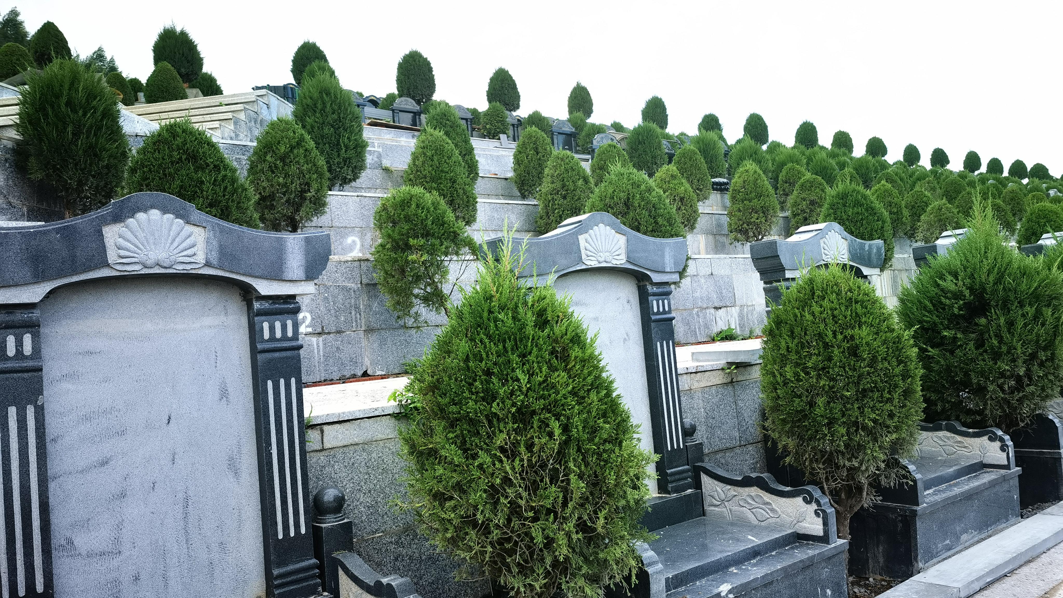 宾阳县天堂生态陵园管理服务中心园区图片