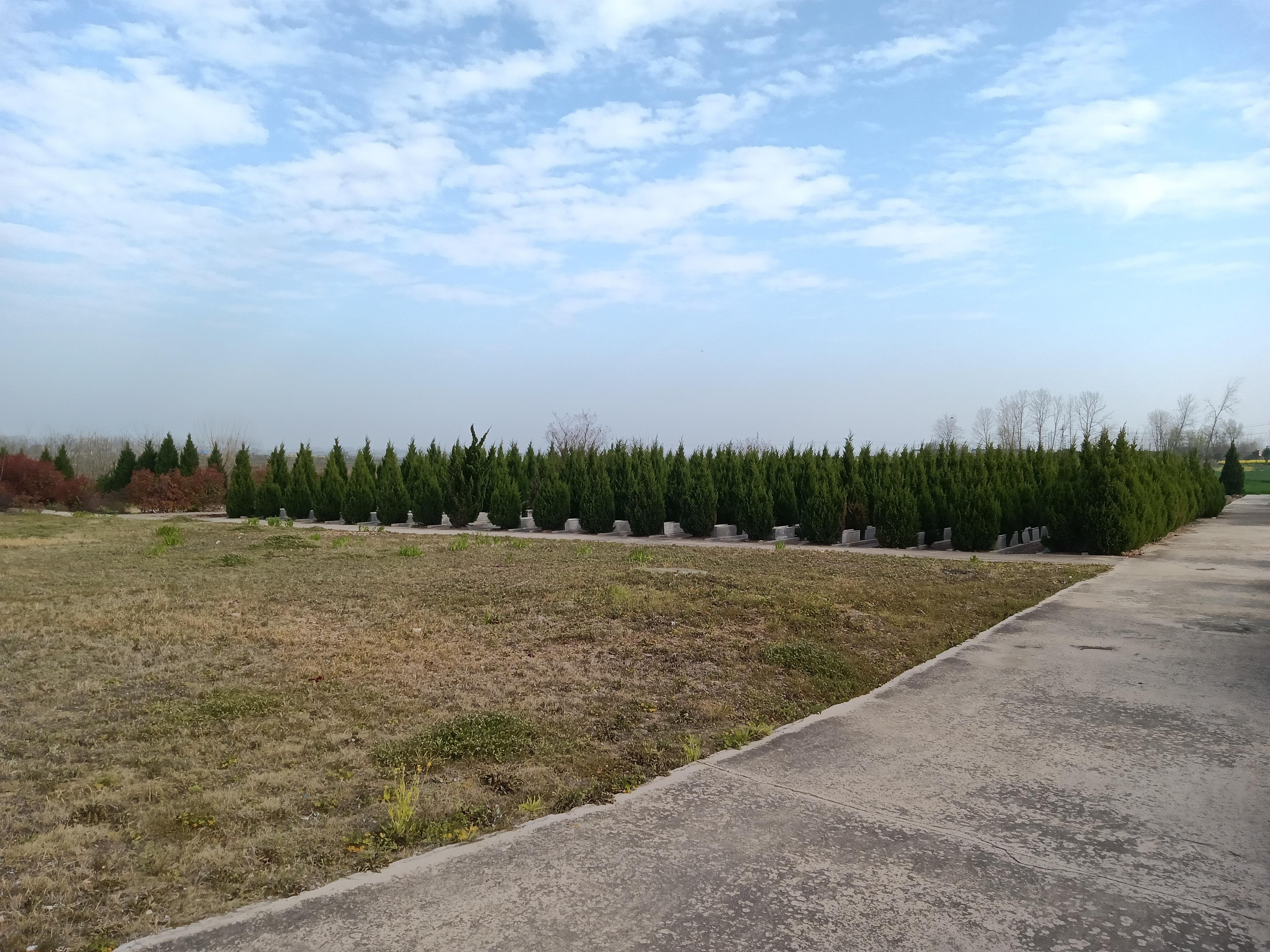 大户公益性公墓园区图片