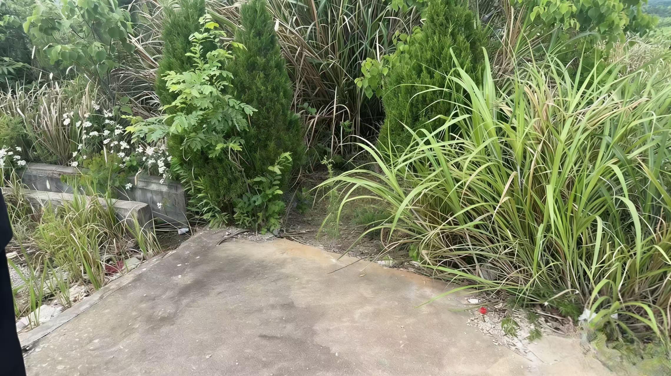 宿松县程岭乡公益性公墓园区图片