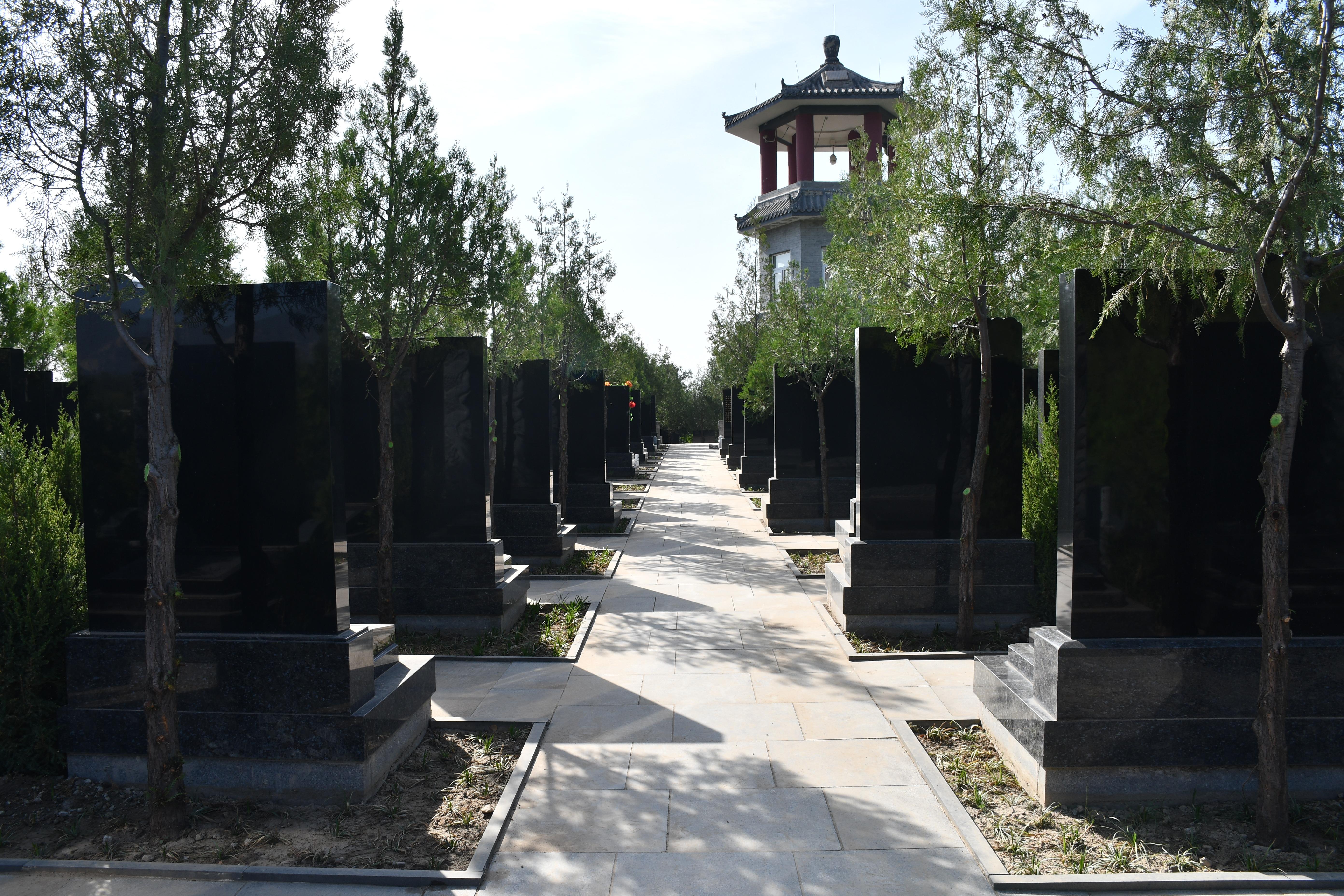 七王坟骨灰林园区图片