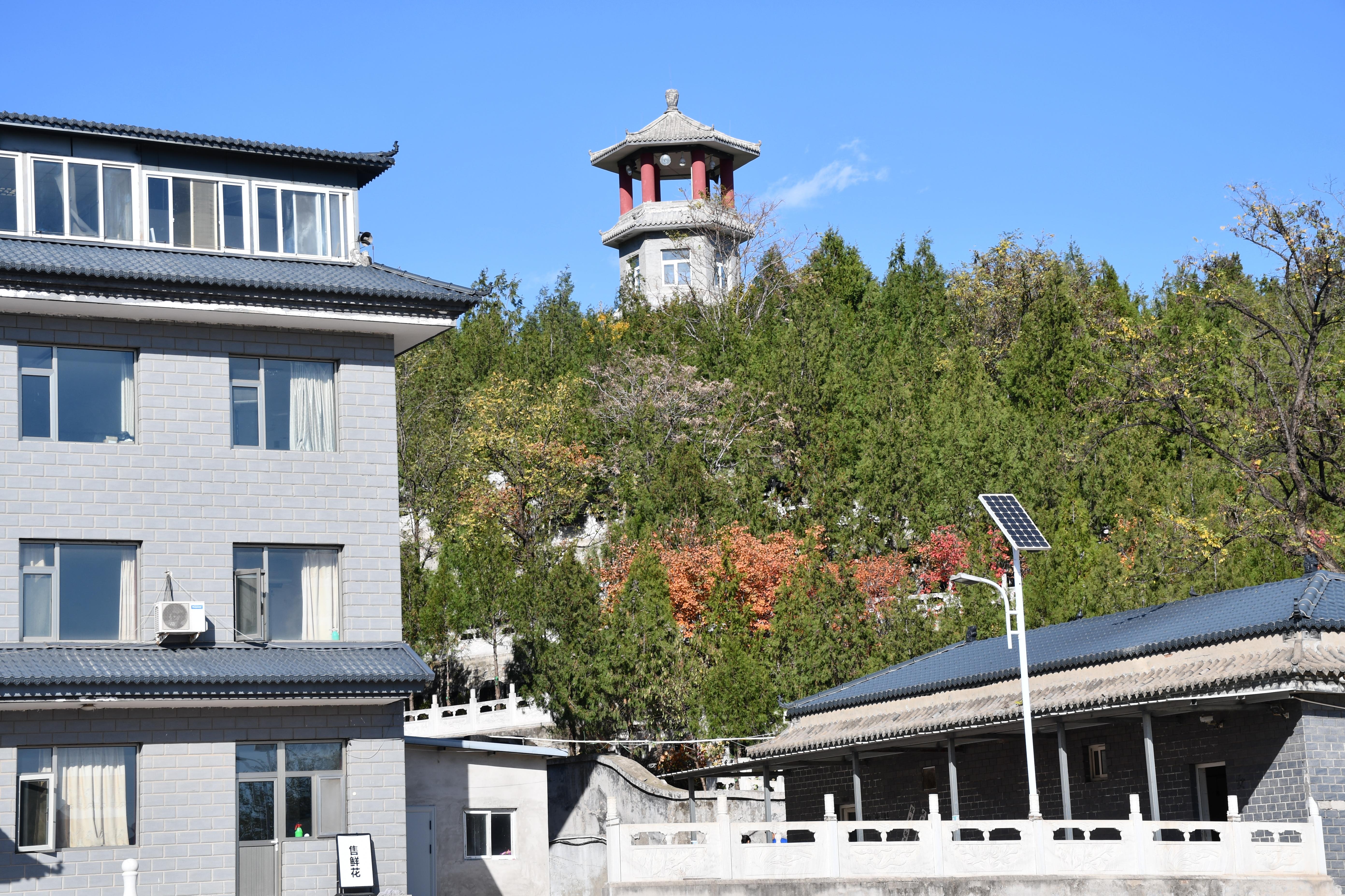 七王坟骨灰林园区图片