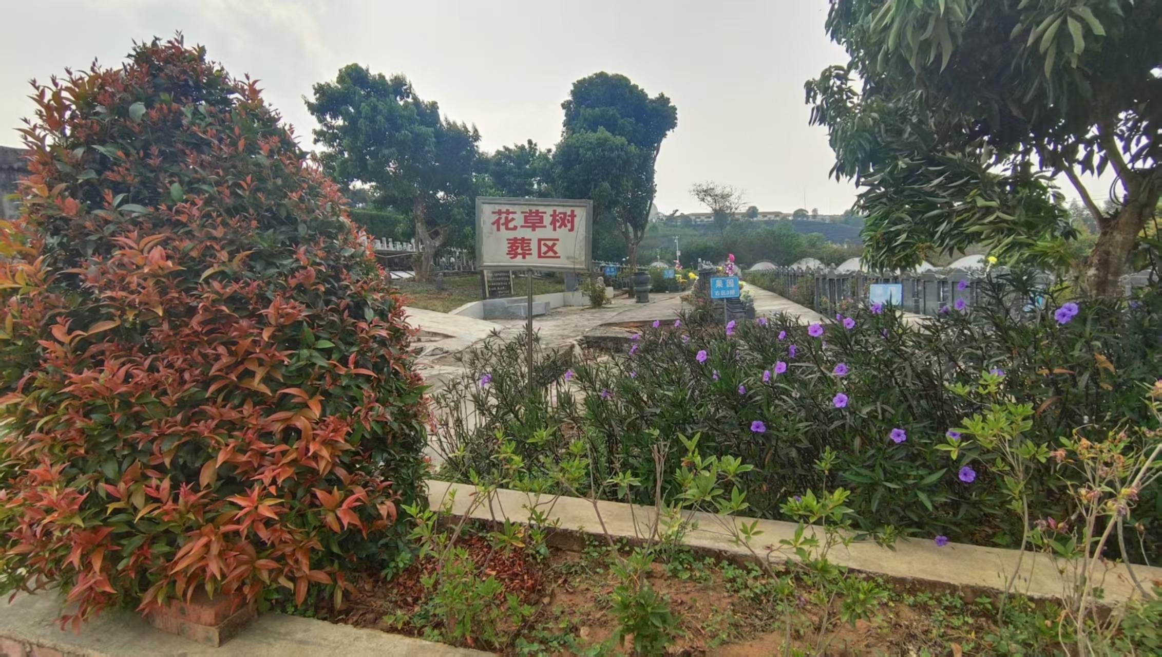 勐海县园林骨灰公墓园区图片
