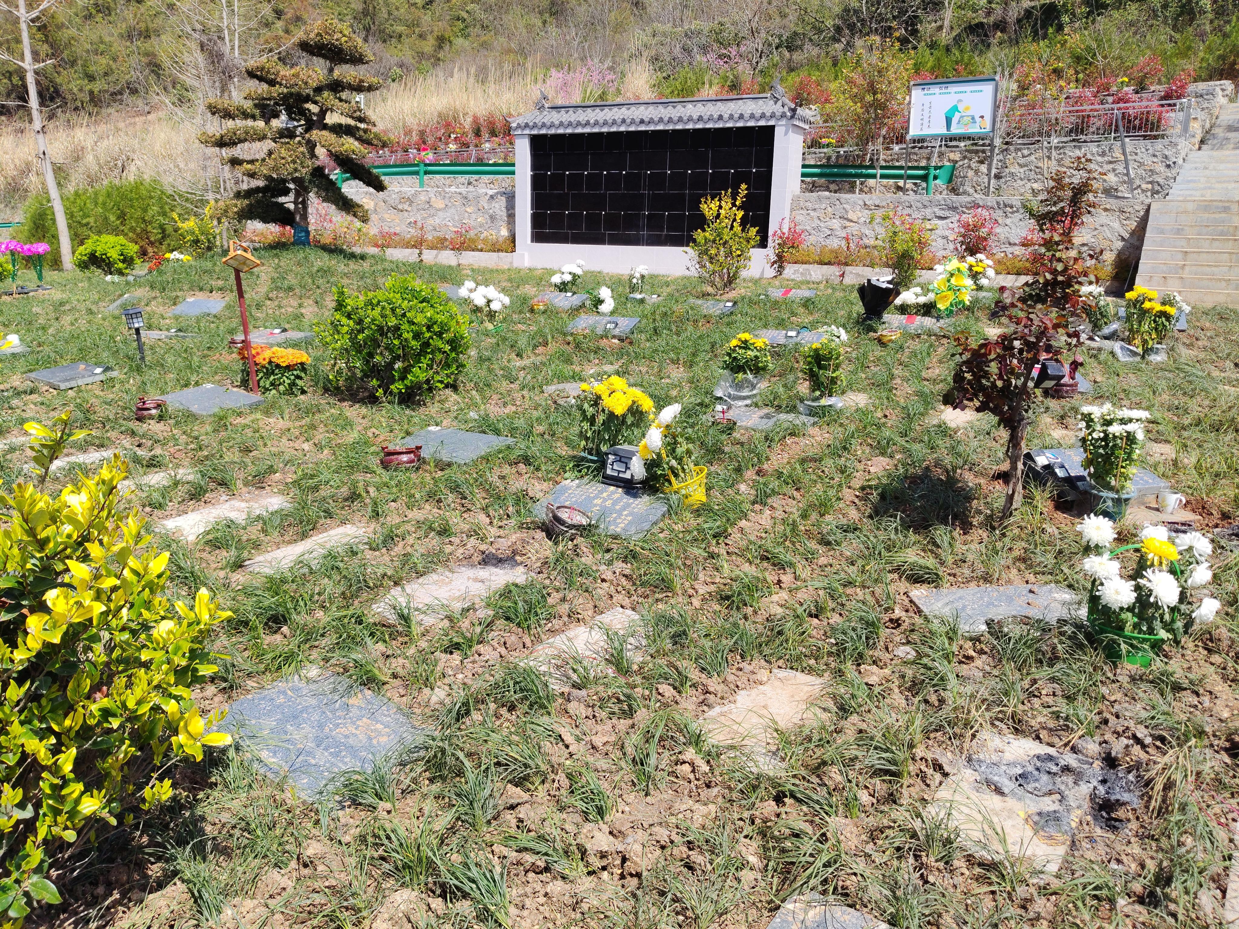 兴山县张家河公益性公墓园区图片