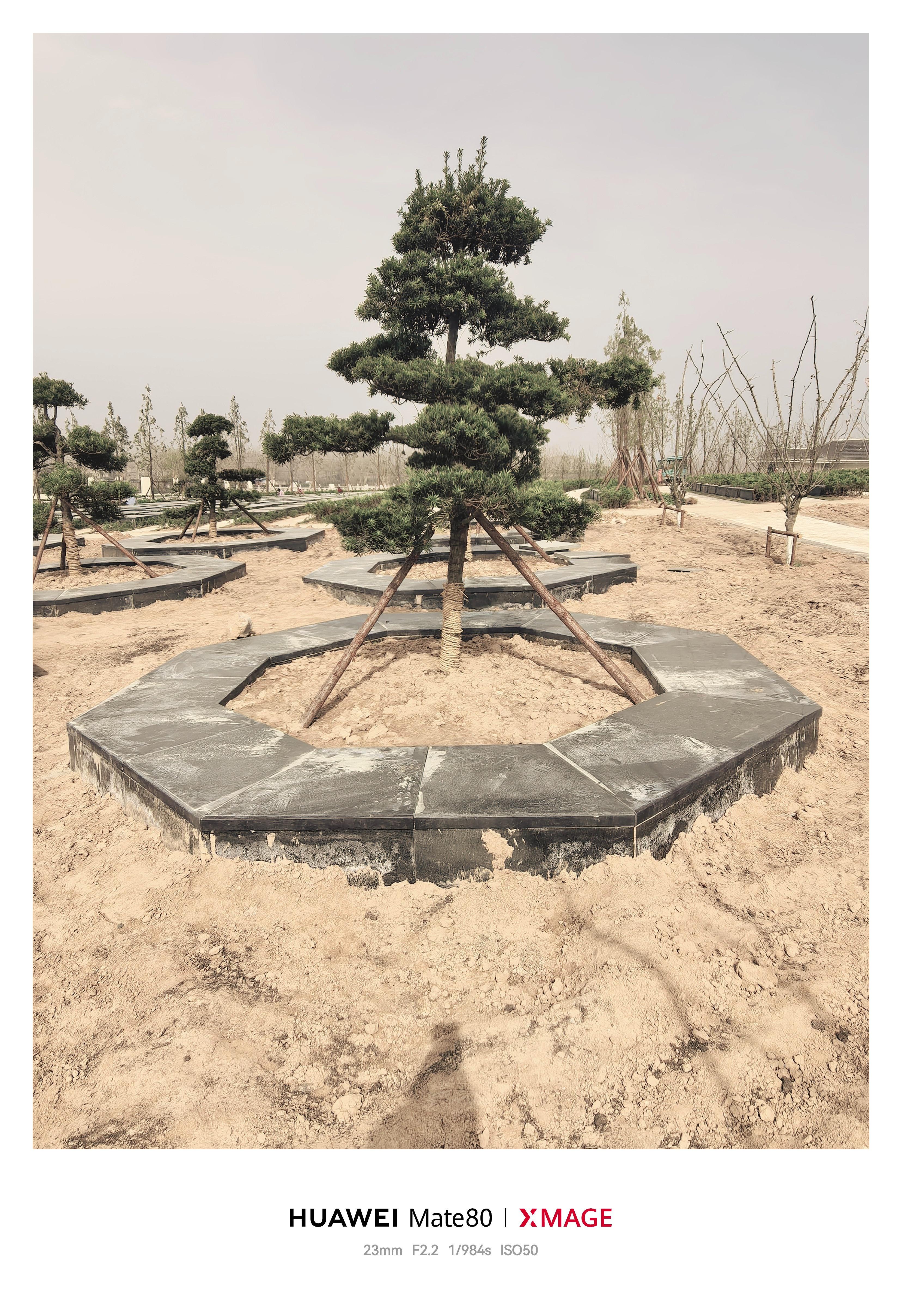 鹿虎山城市公益性公墓园区图片
