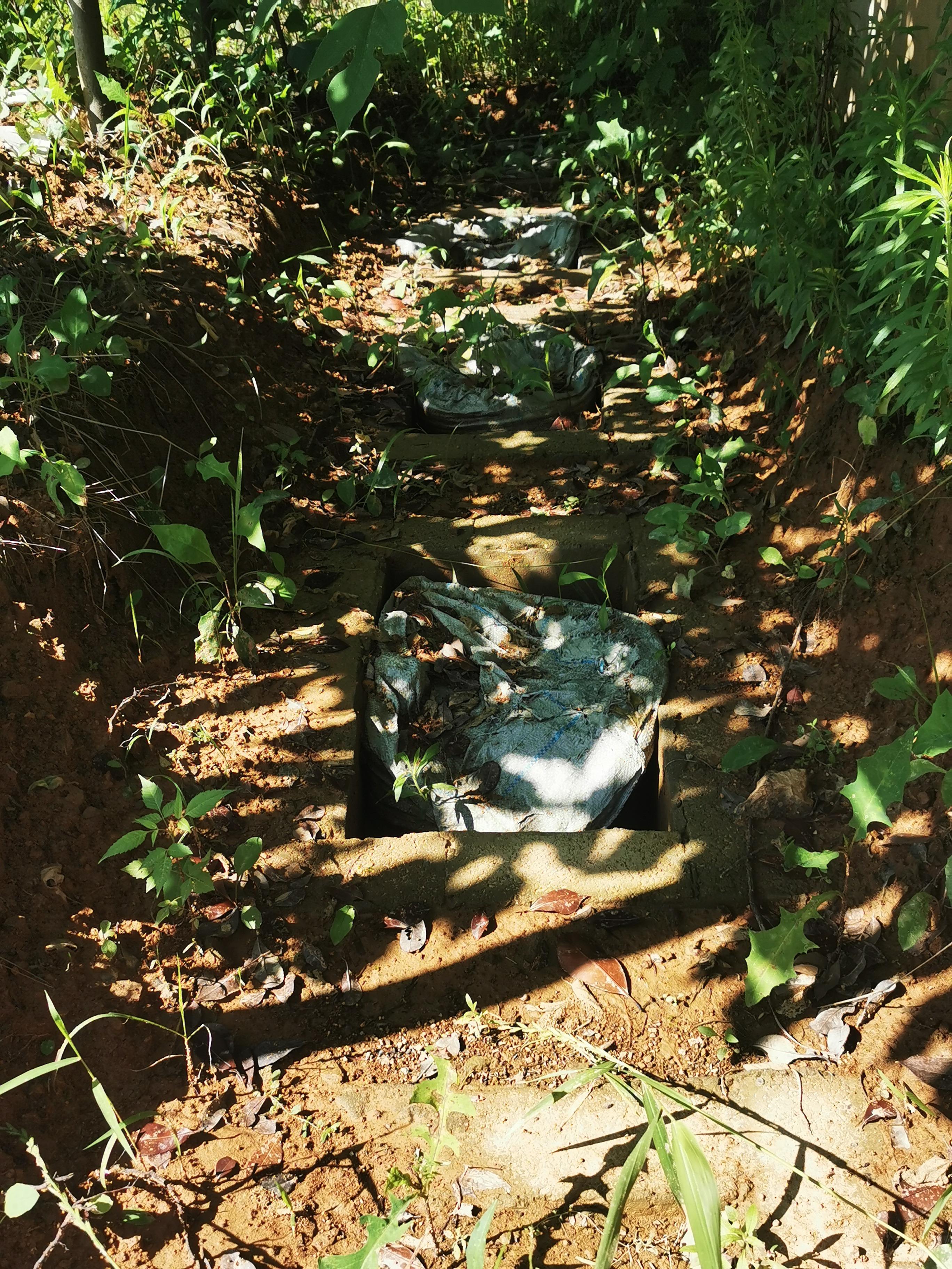 庐江县万山镇灶马山公墓园区图片