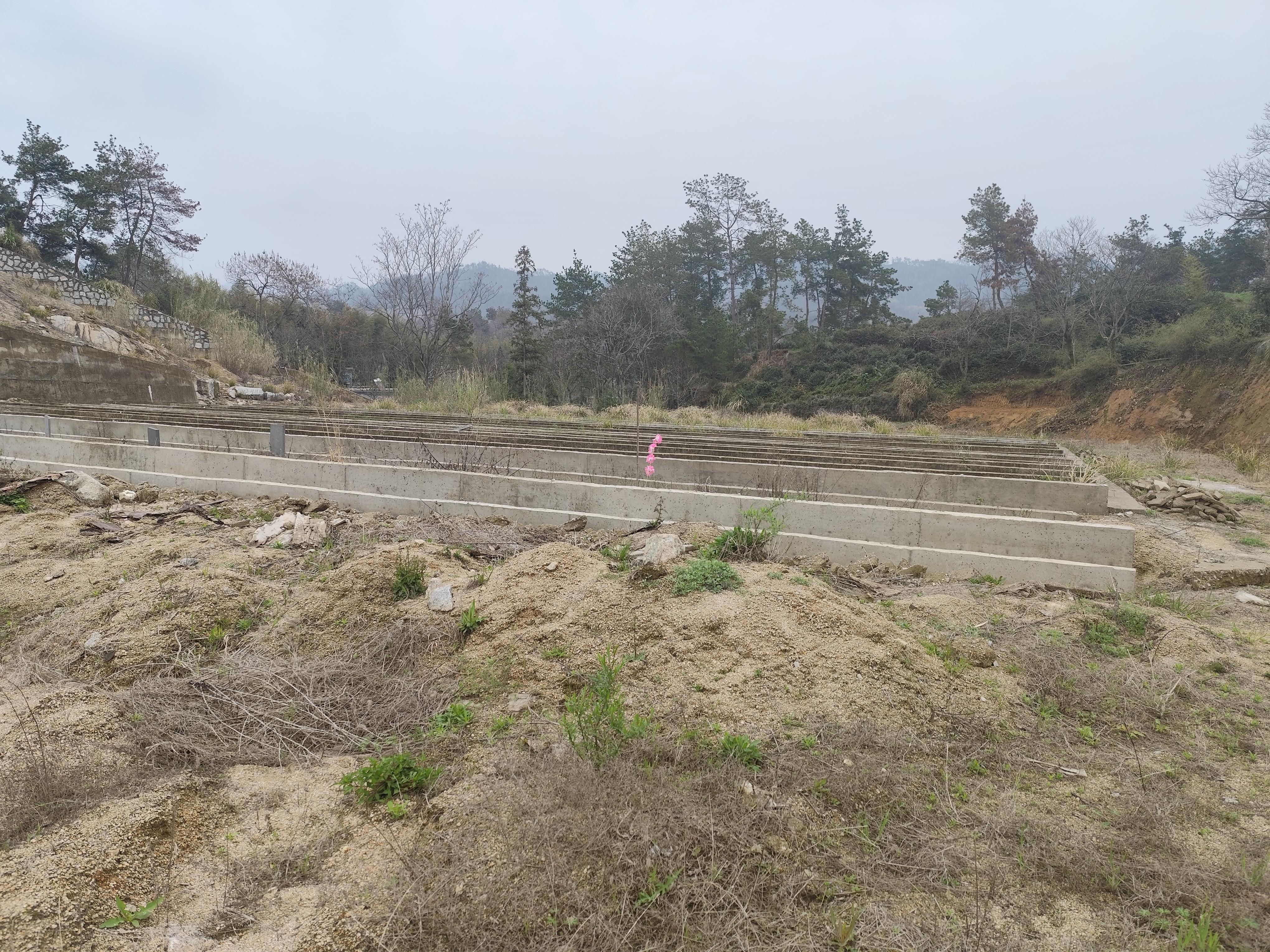 岳西县天堂石桥公墓园区图片