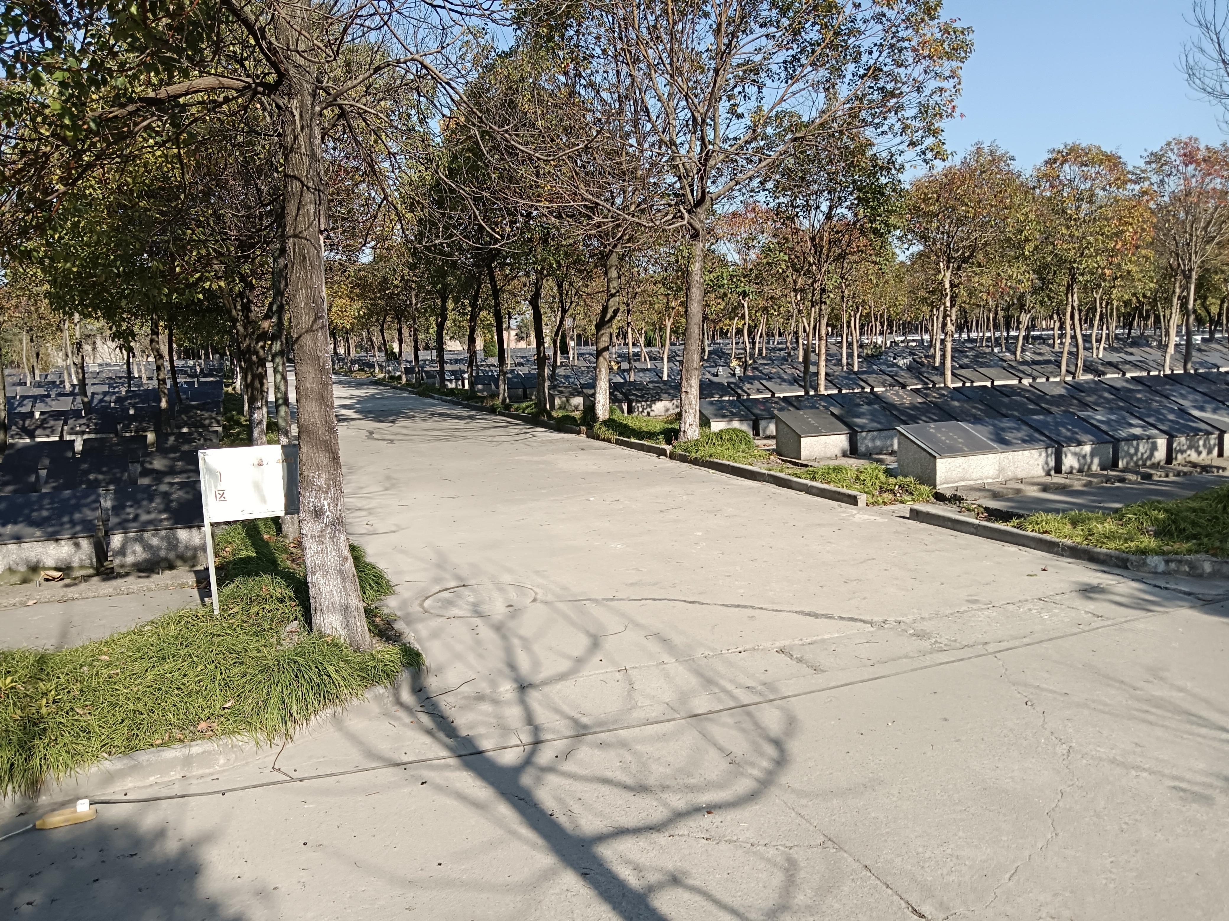 靖江市靖城街道柏木村龙江公墓园区图片