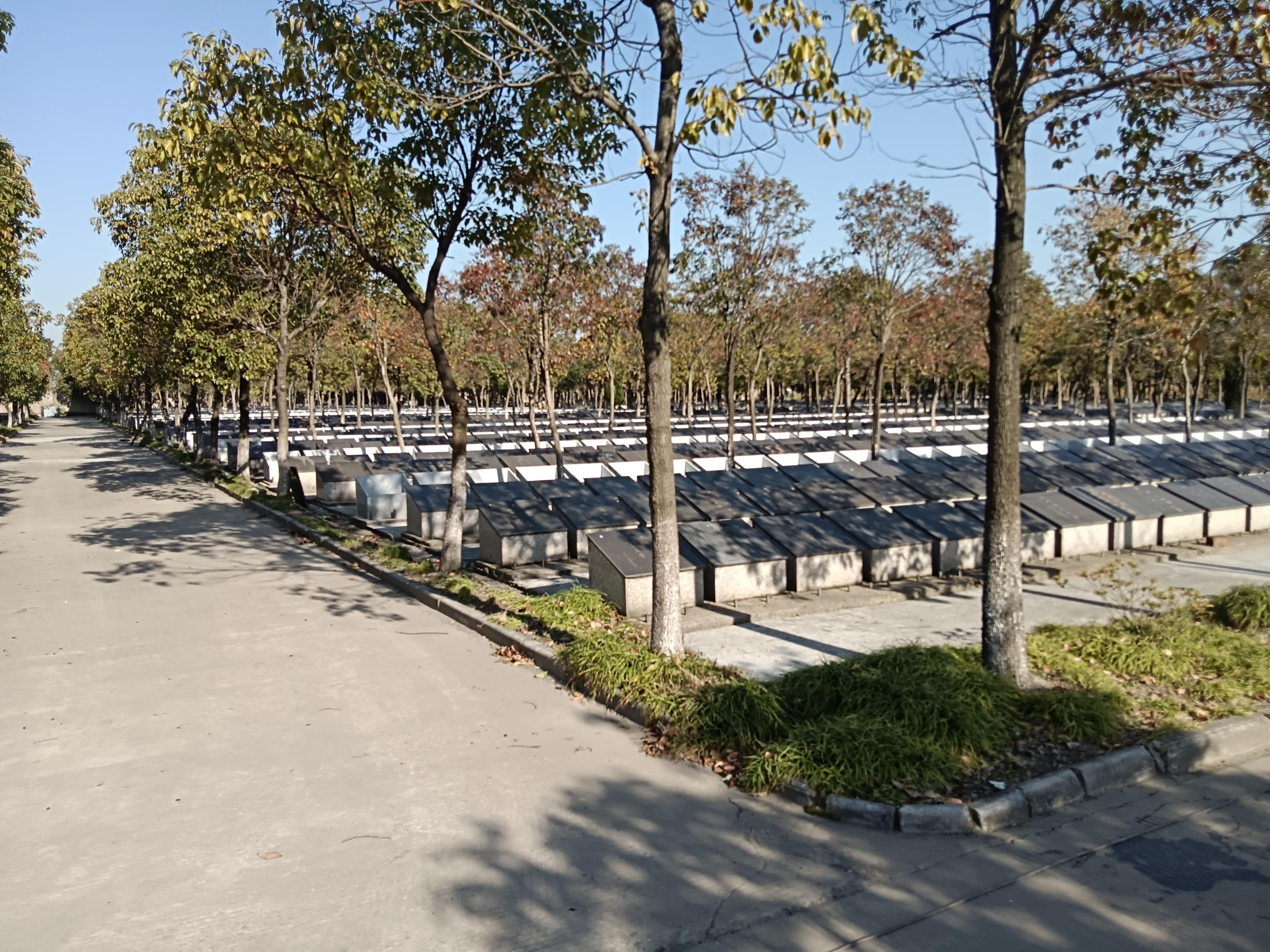 靖江市靖城街道柏木村龙江公墓园区图片