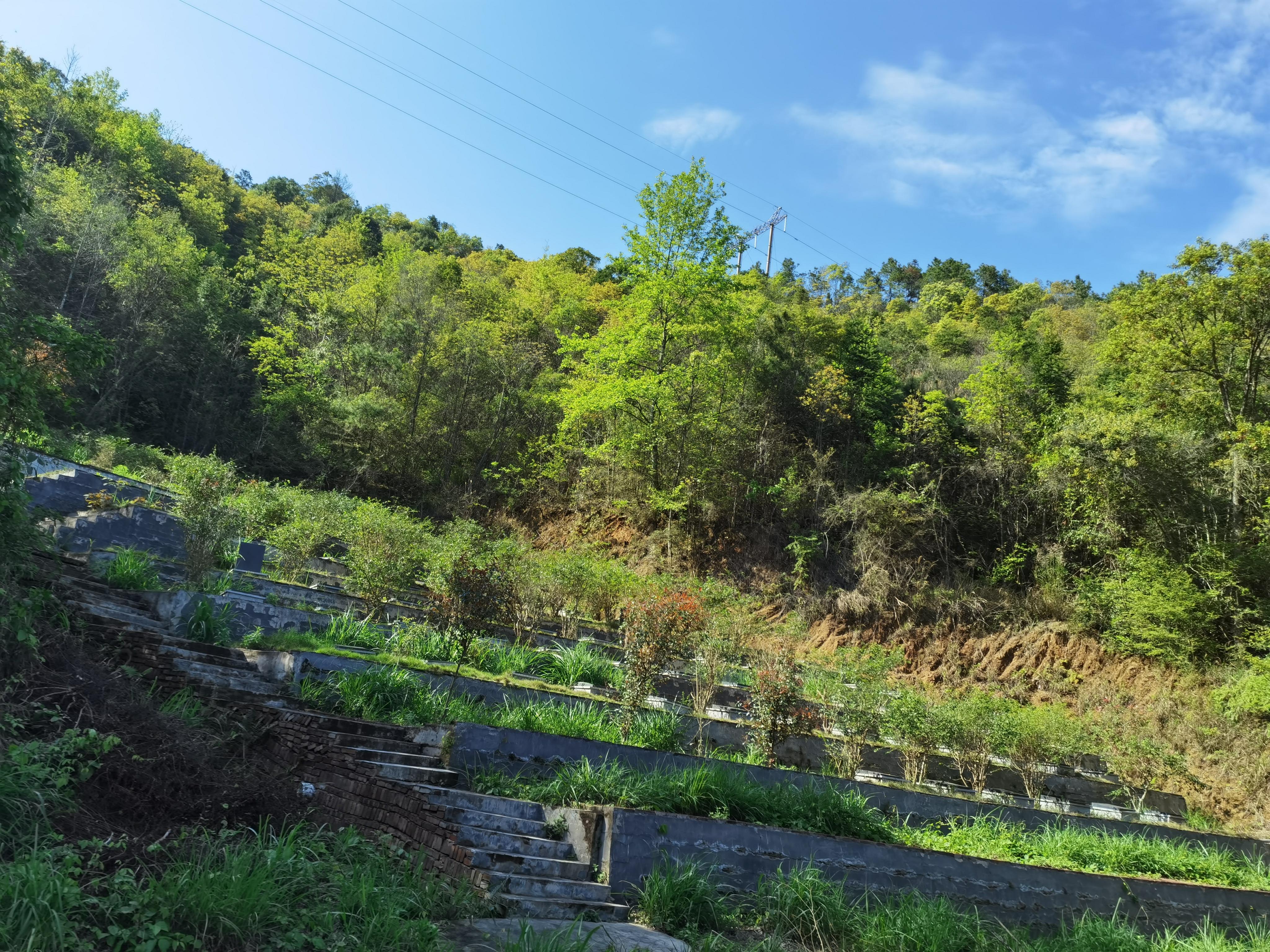 赣县区大田乡中团村公墓区园区图片