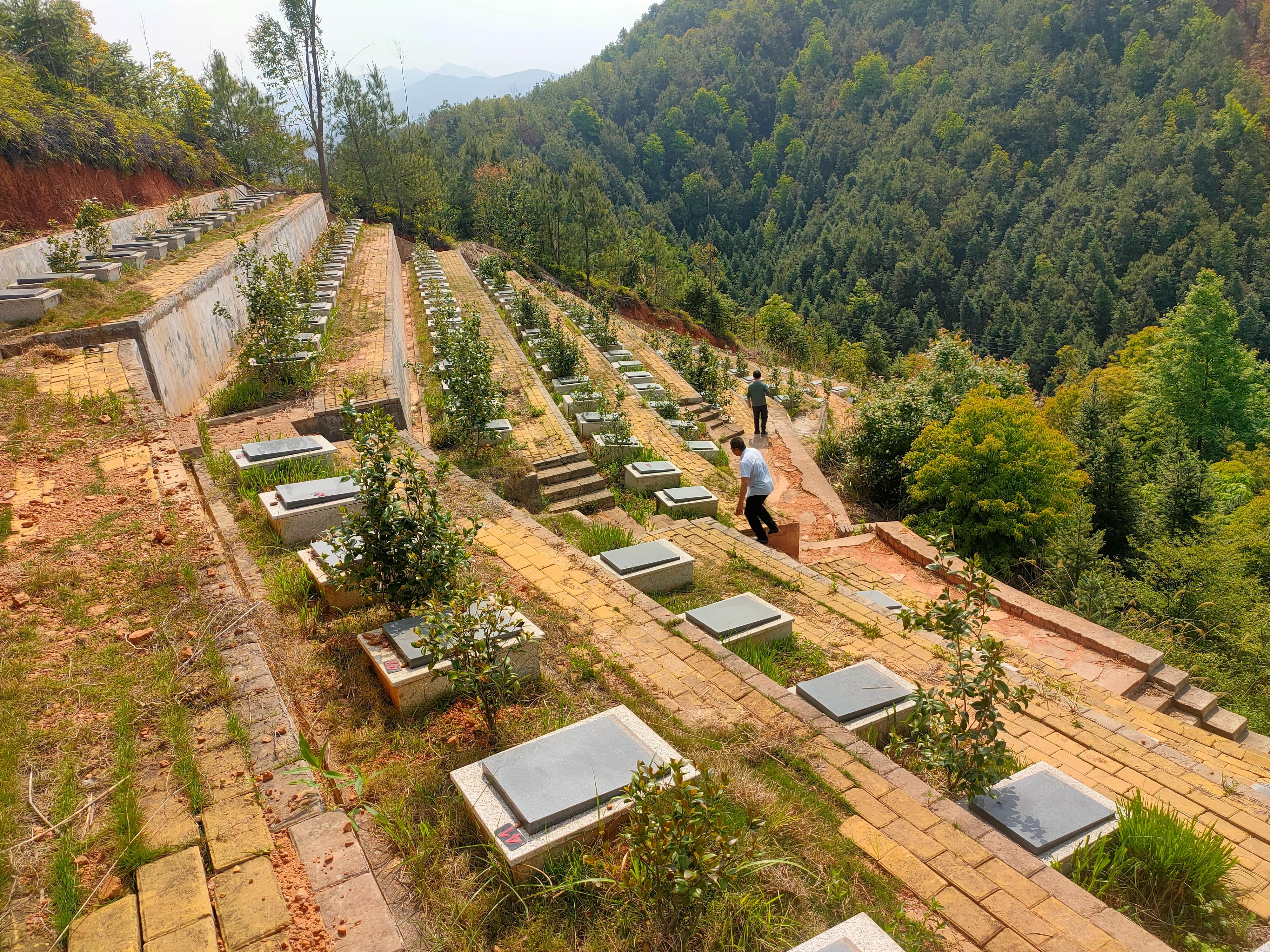 赣县区大田乡杜屋村公墓区园区图片