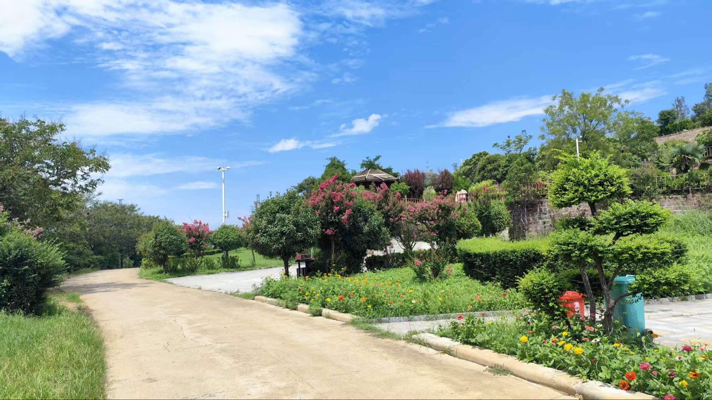 恒爱公墓园区图片