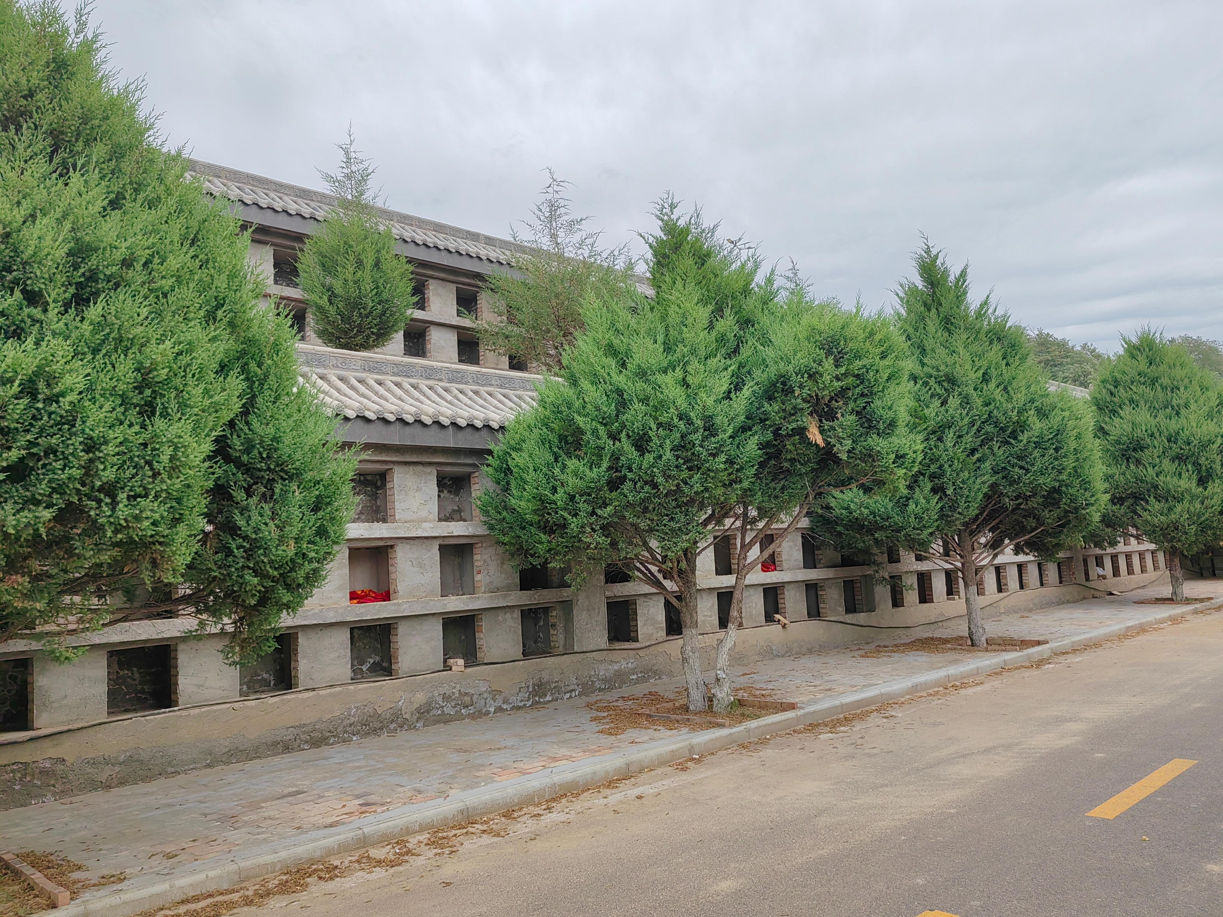 子长市殡葬服务中心（公墓）园区图片