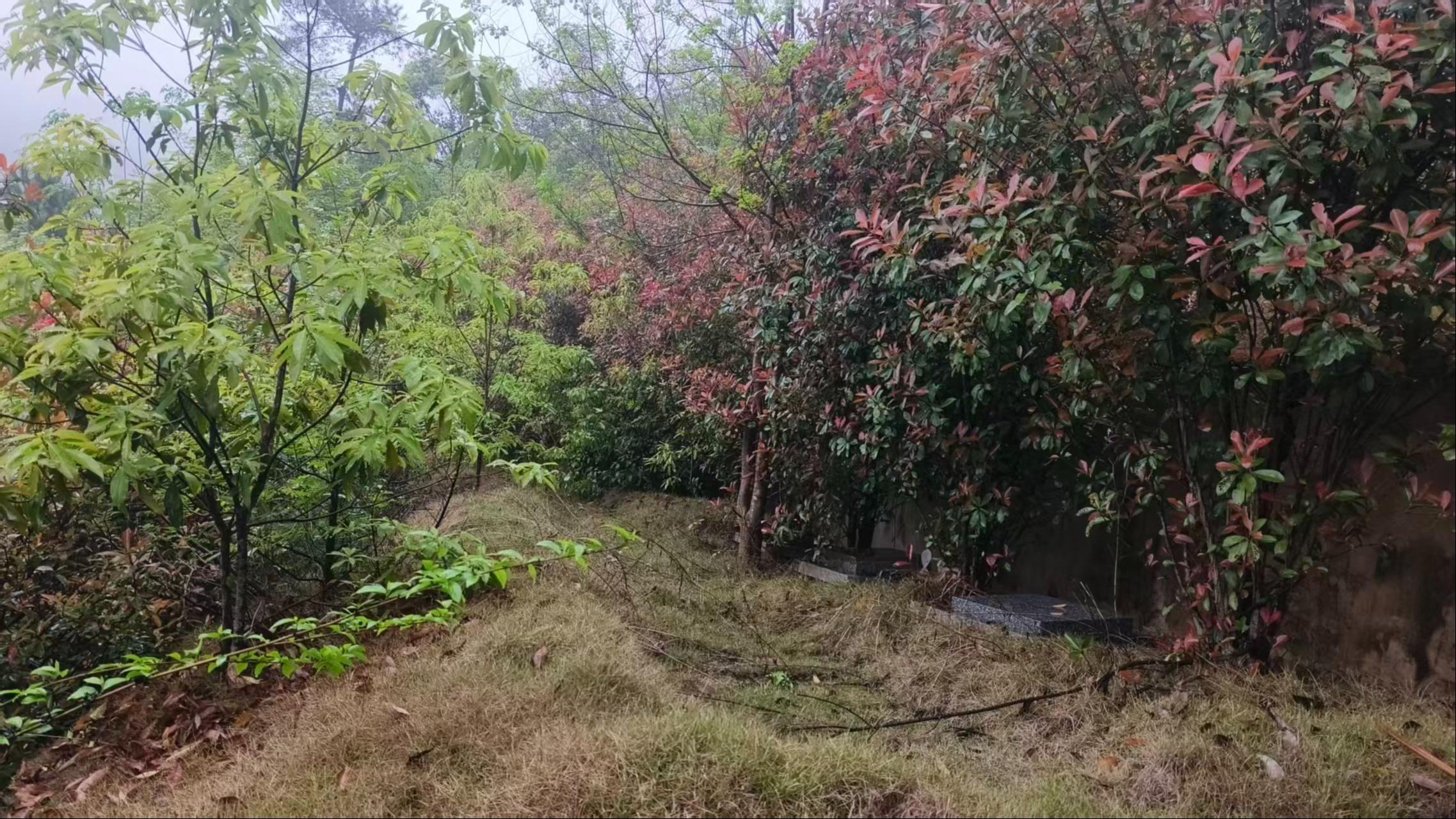 赣县区吉埠镇建节公墓园区图片
