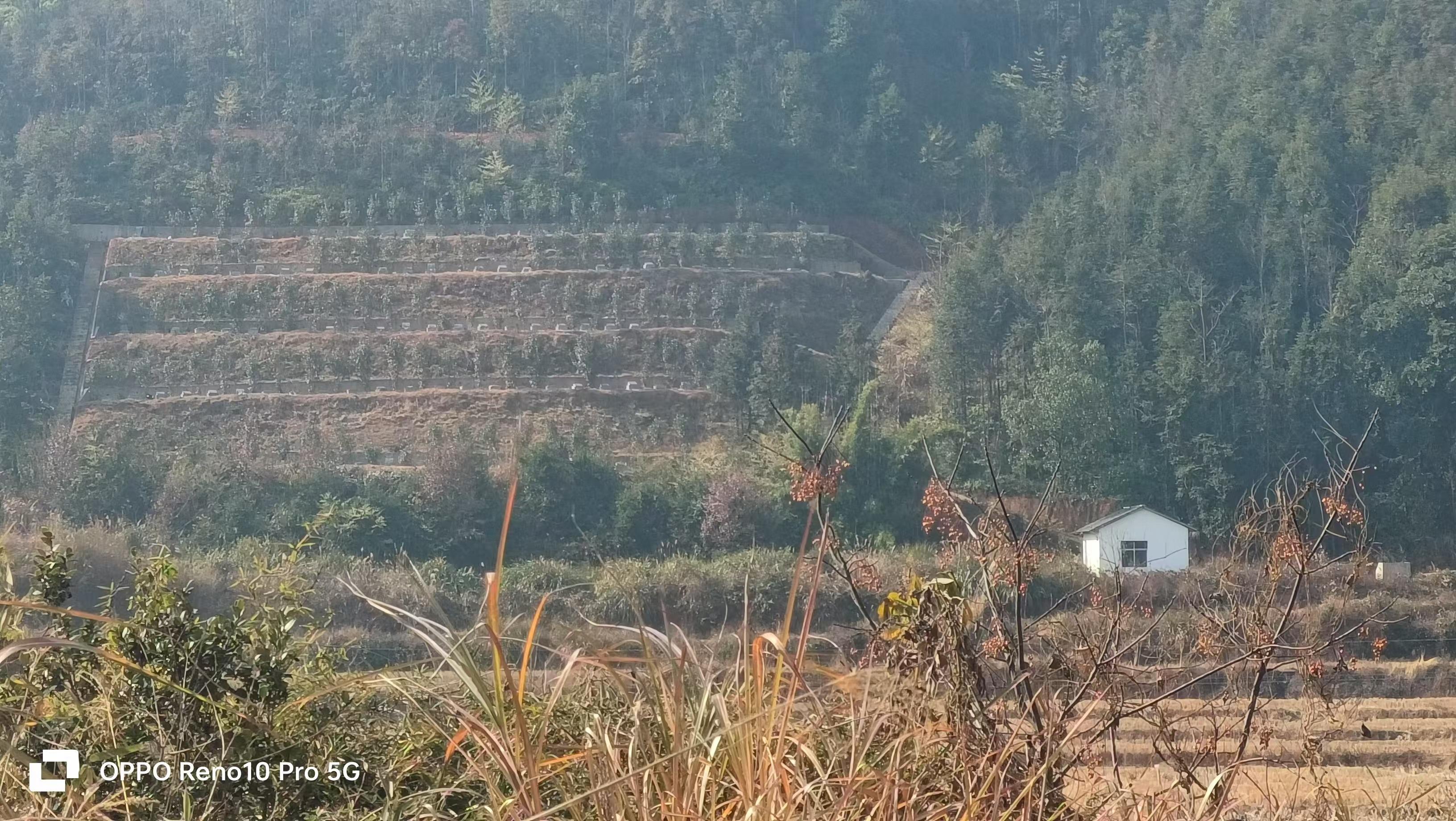 赣县区沙地镇银村村公益性公墓园区图片