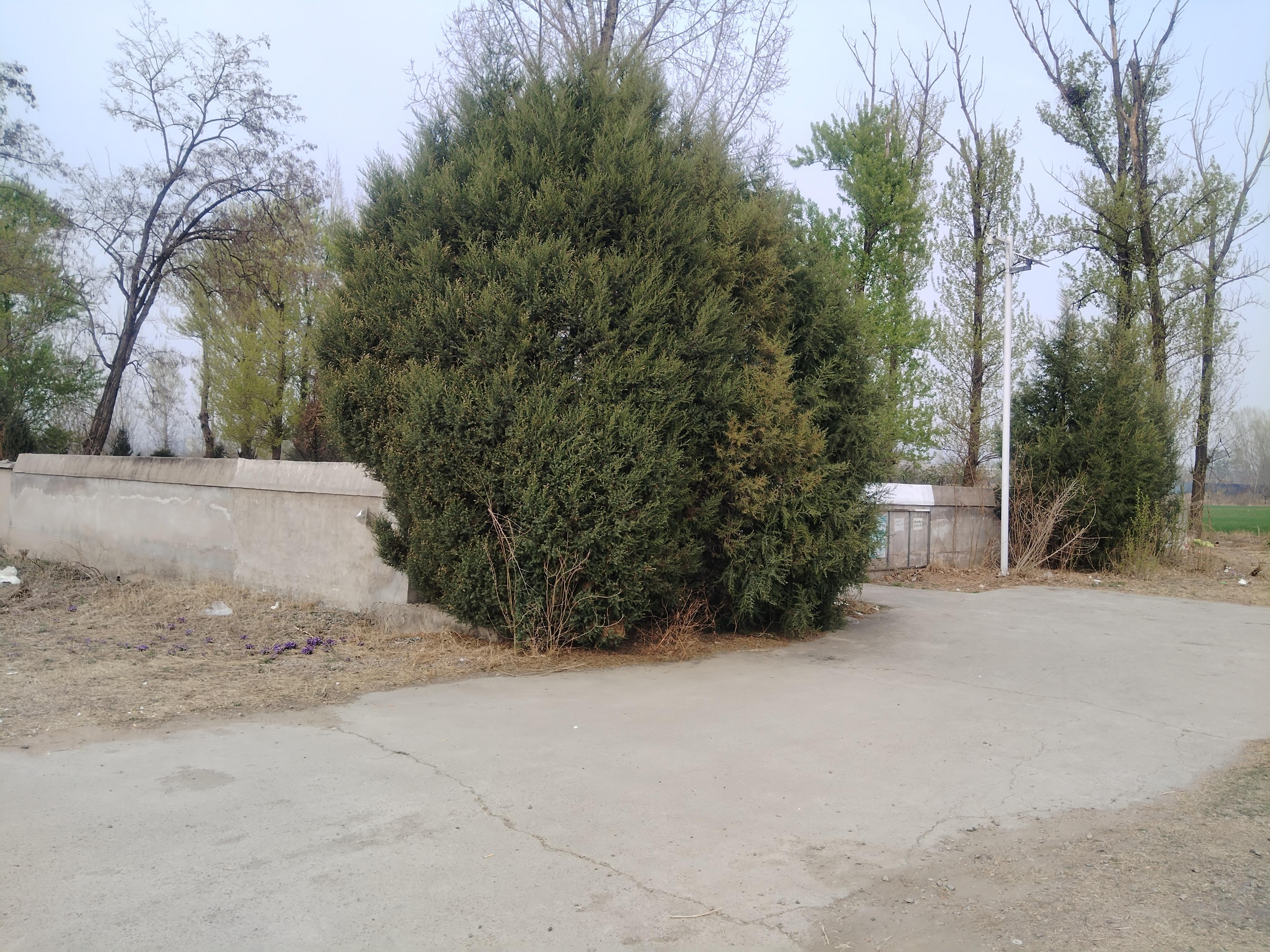 荣各庄公墓园区图片
