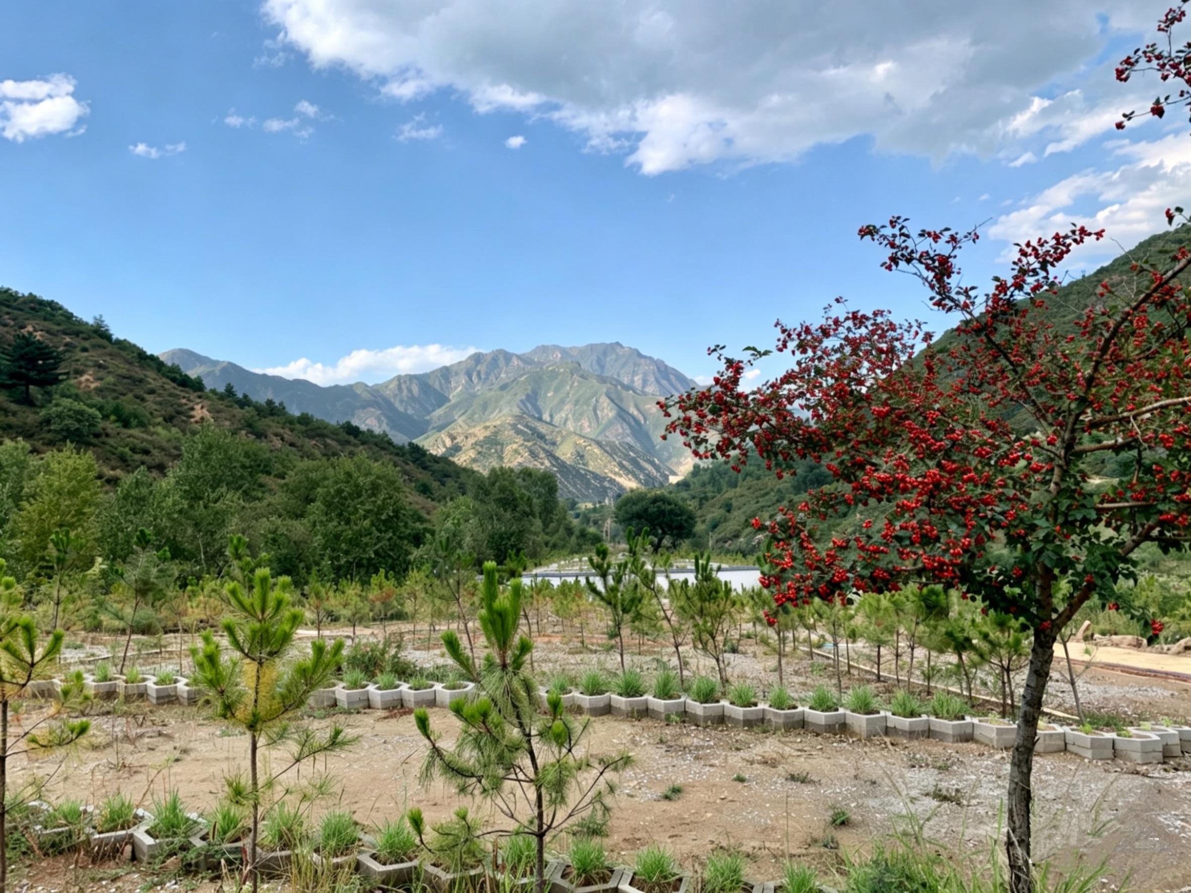 涿鹿县龙凤山人民公墓园区图片