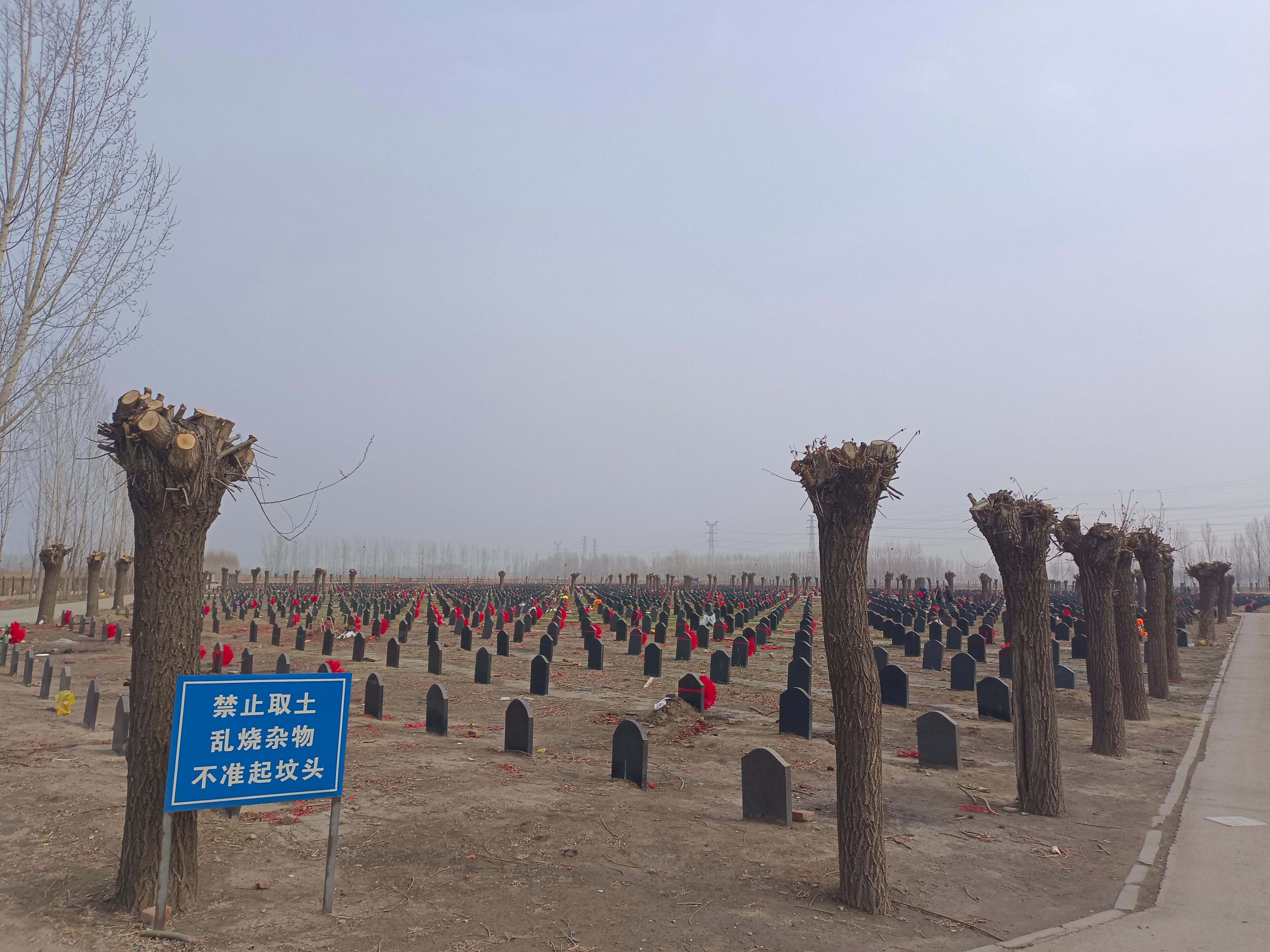 宝坻区潮阳街道寿寝园园区图片