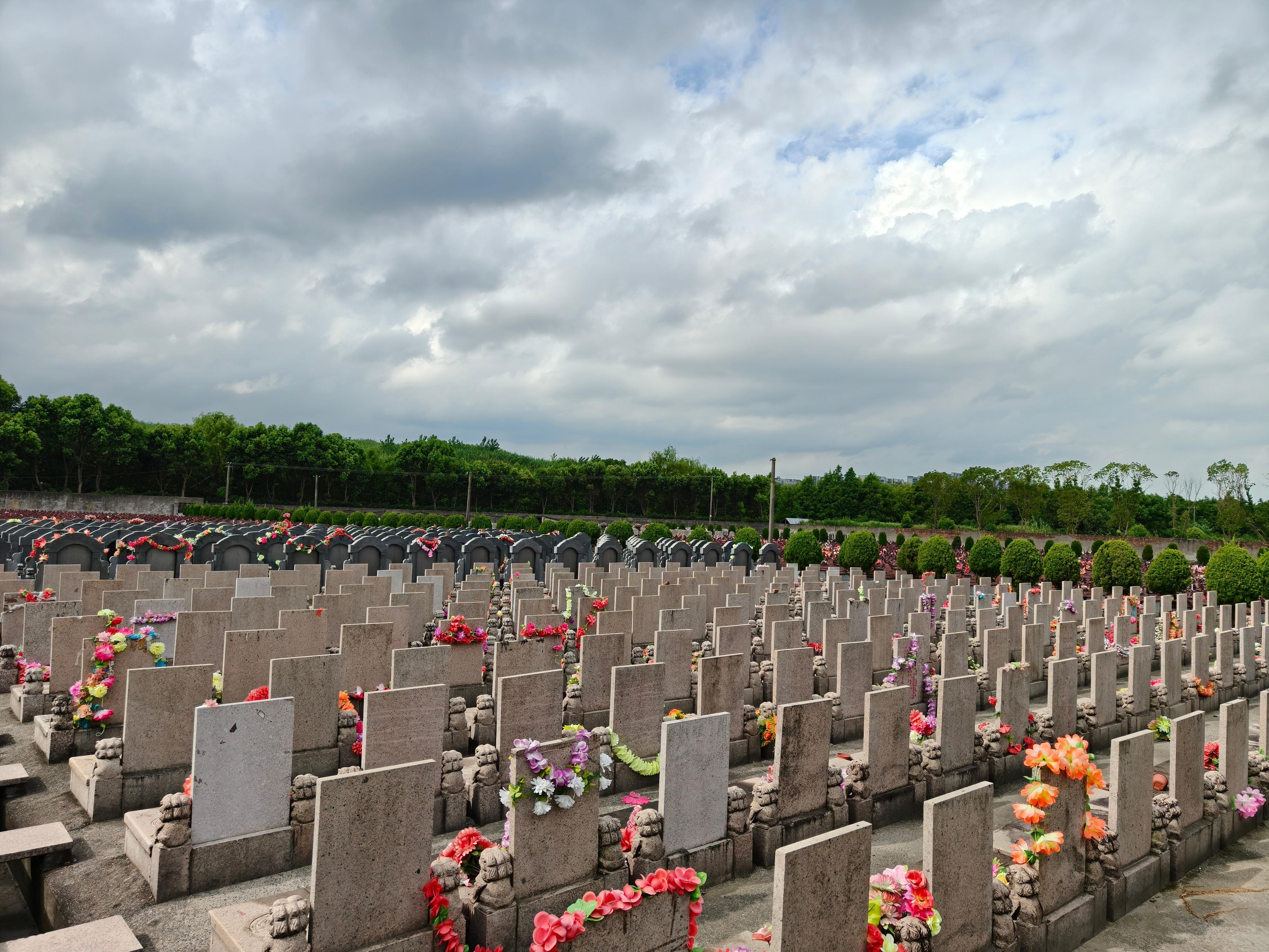 秀洲区新城街道九里村公益性墓地园区图片