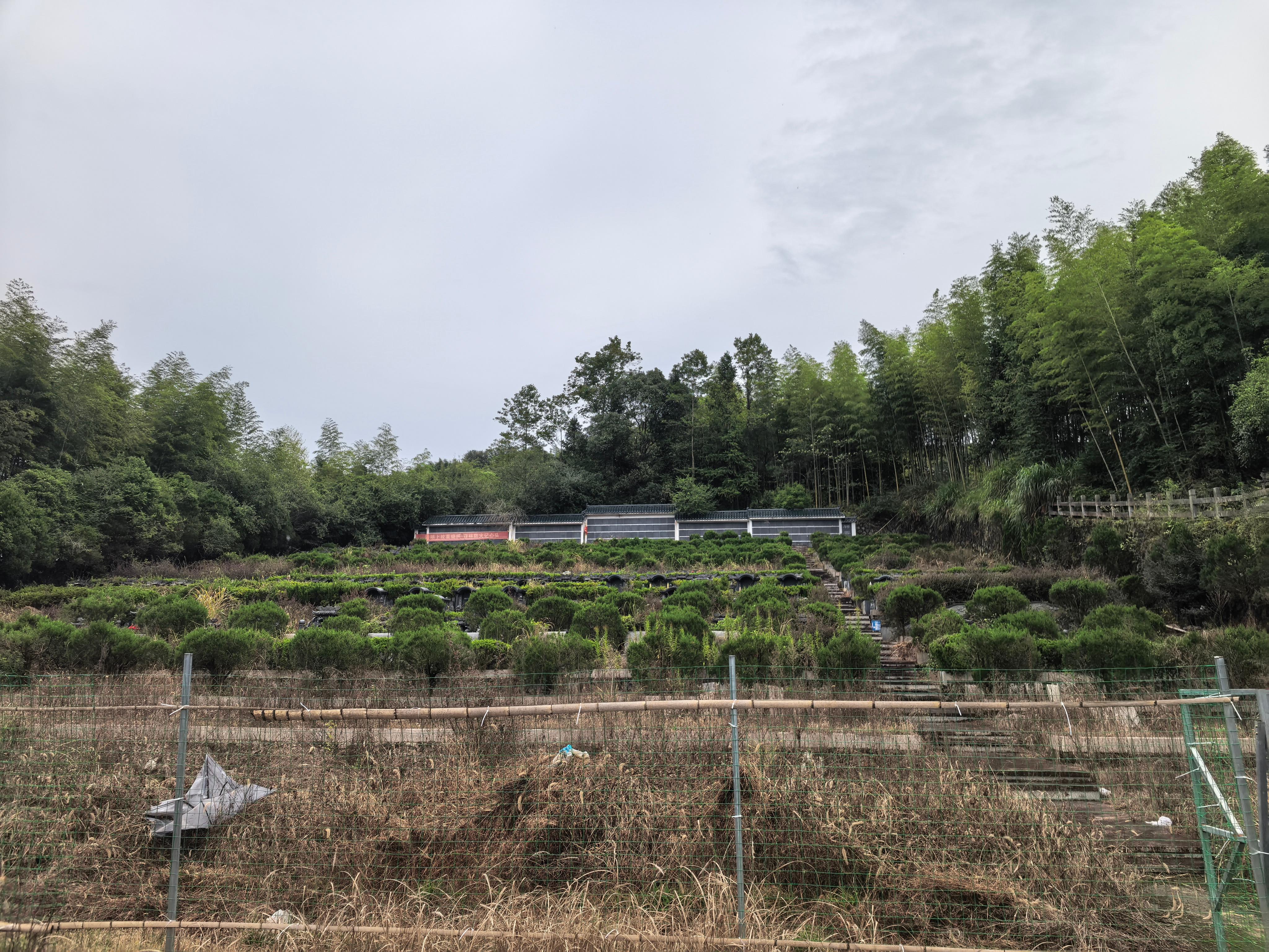 莒溪镇龟山公益性公墓园区图片
