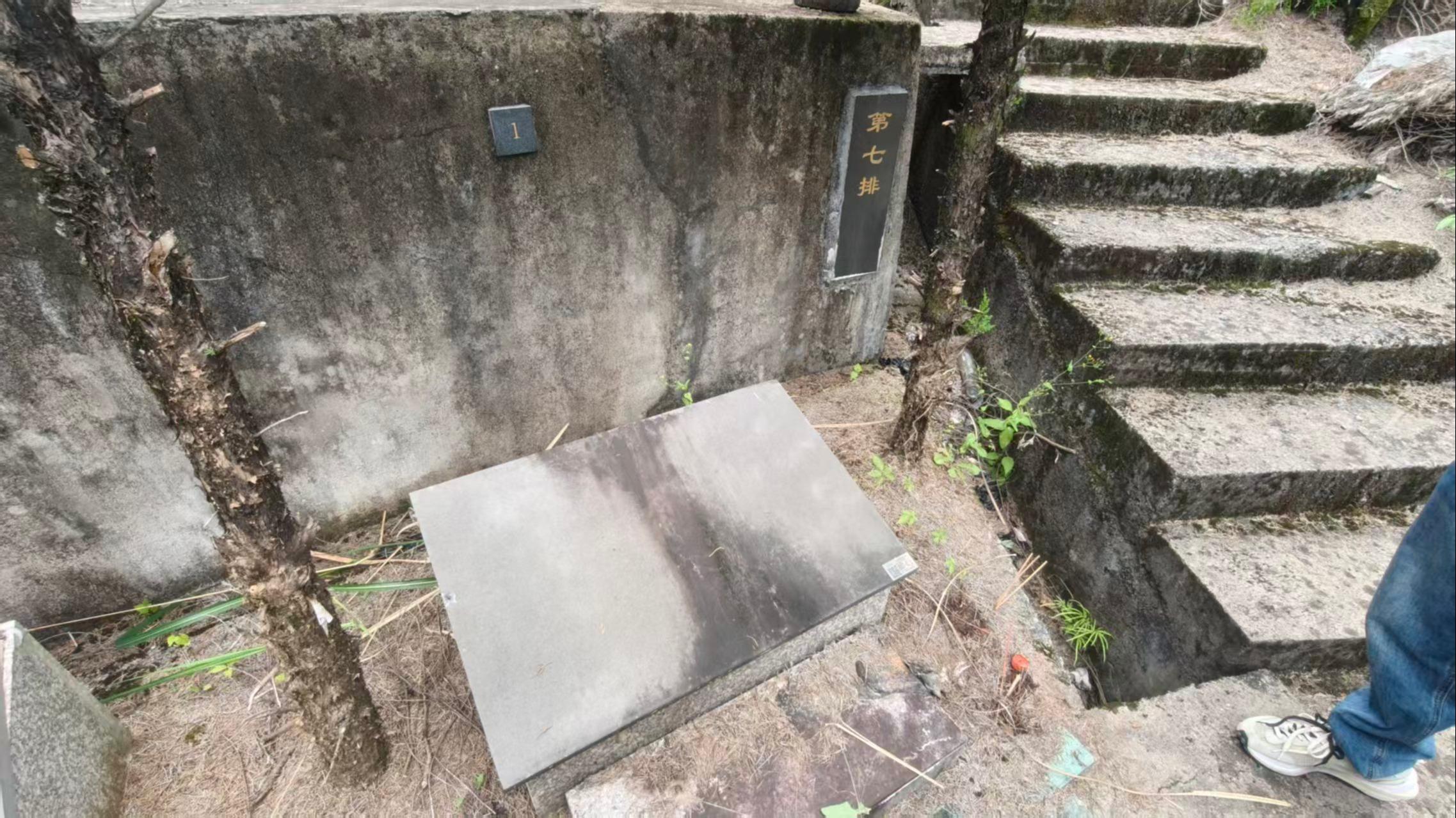 应店街镇十二都村前十镇级公墓园区图片