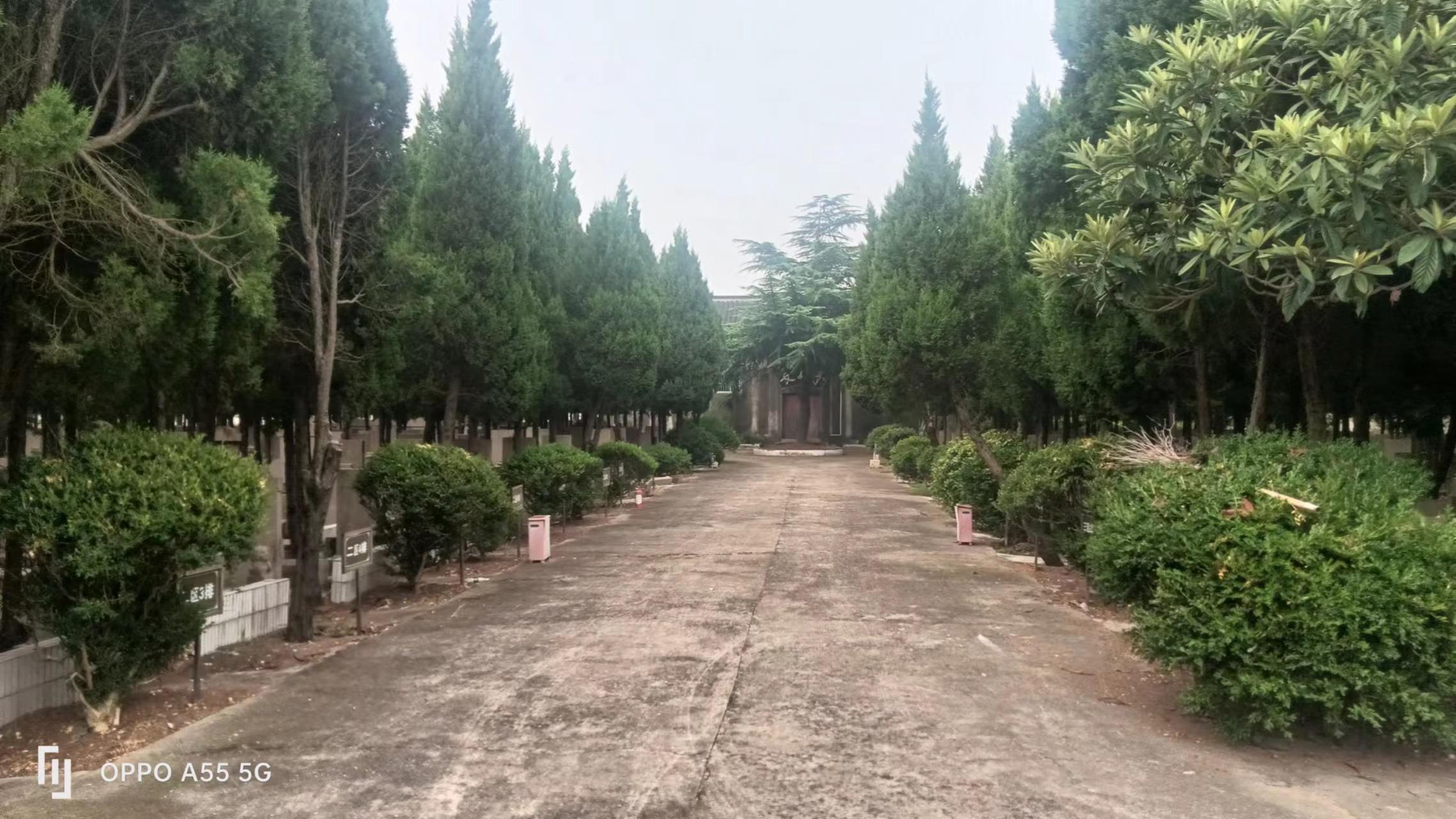 胡桥公墓