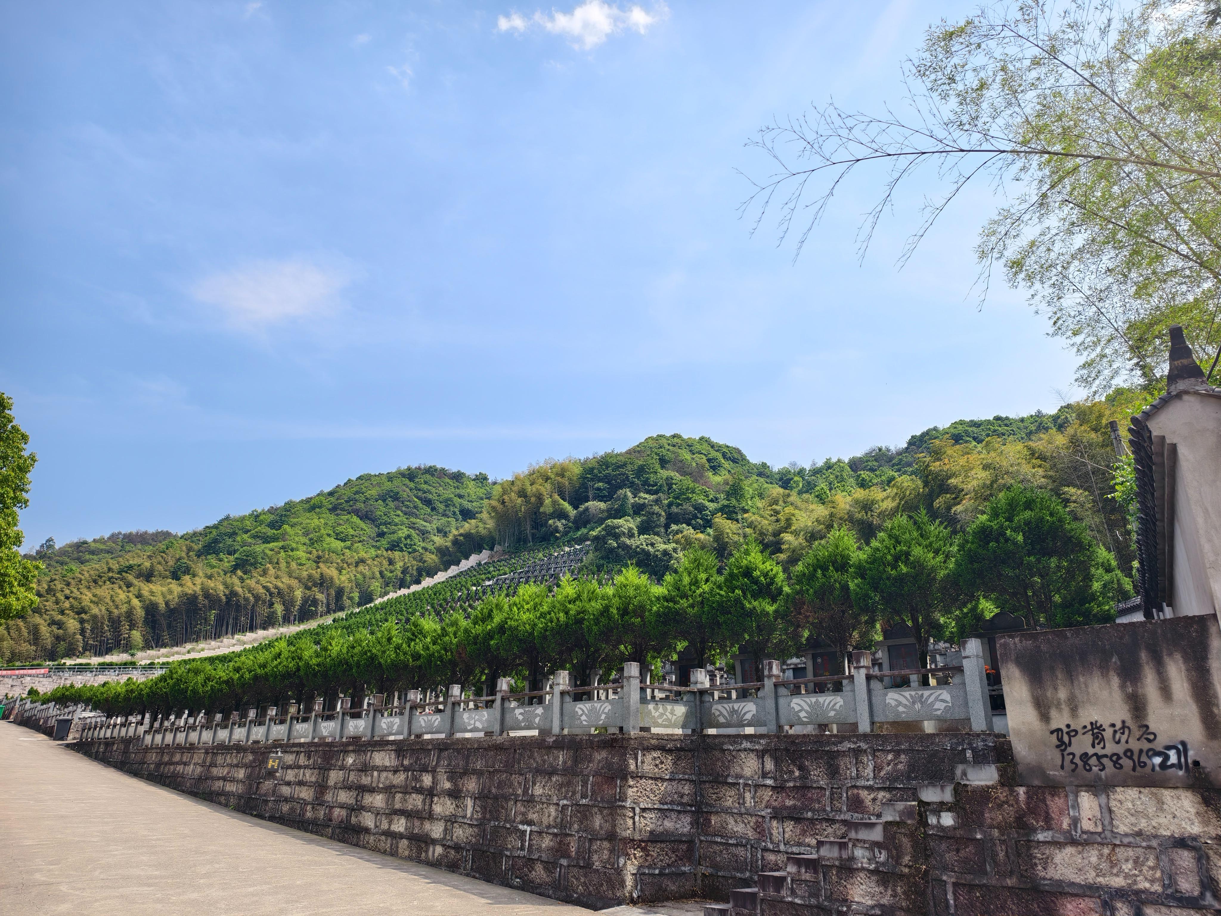 龙马公墓园区图片