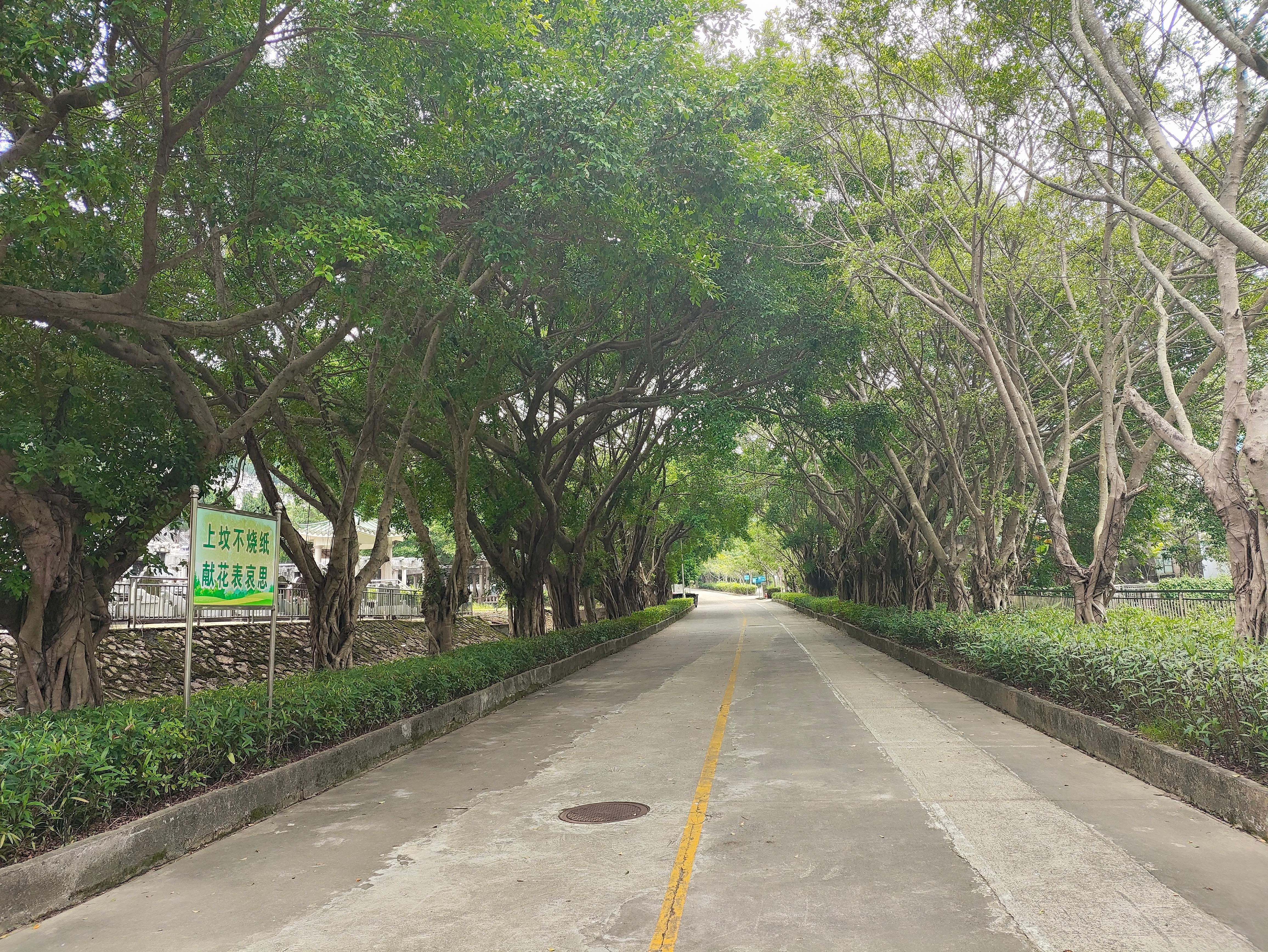 坪山区马峦街道赤坳墓园园区图片