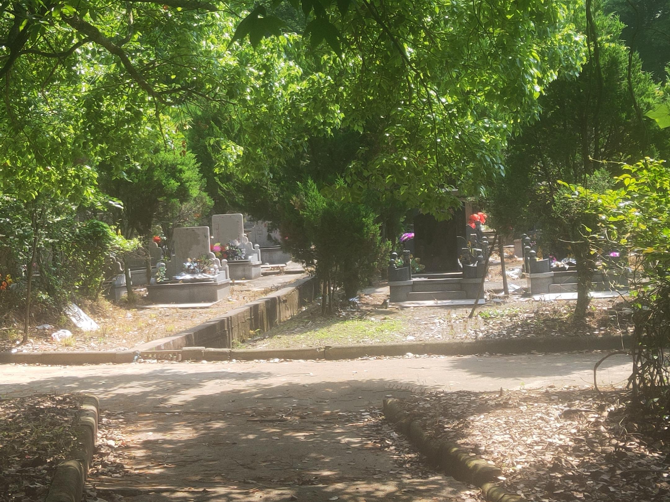 宁波高新区龙山公墓园区图片