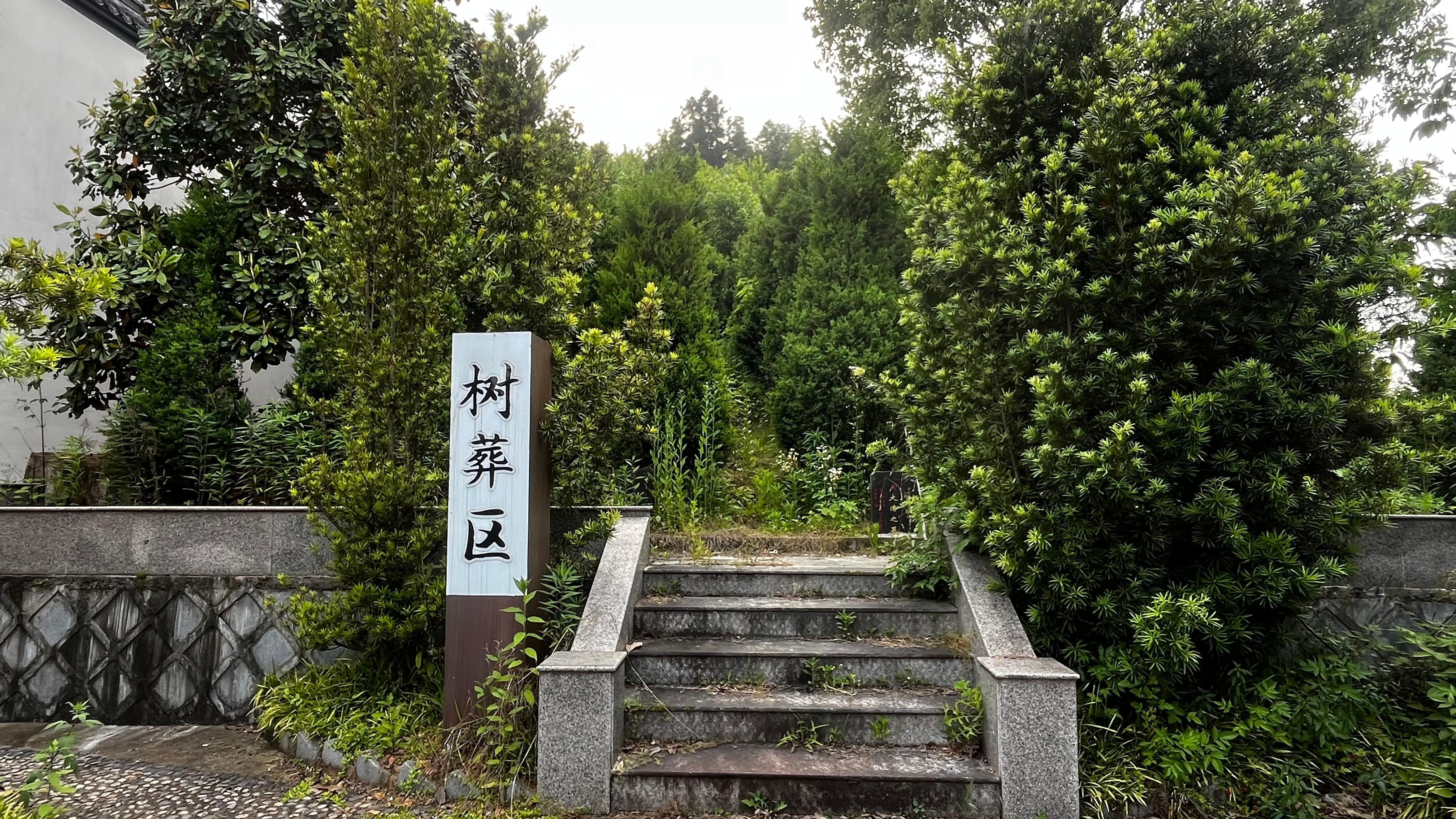 新村村孝恩堂园区图片