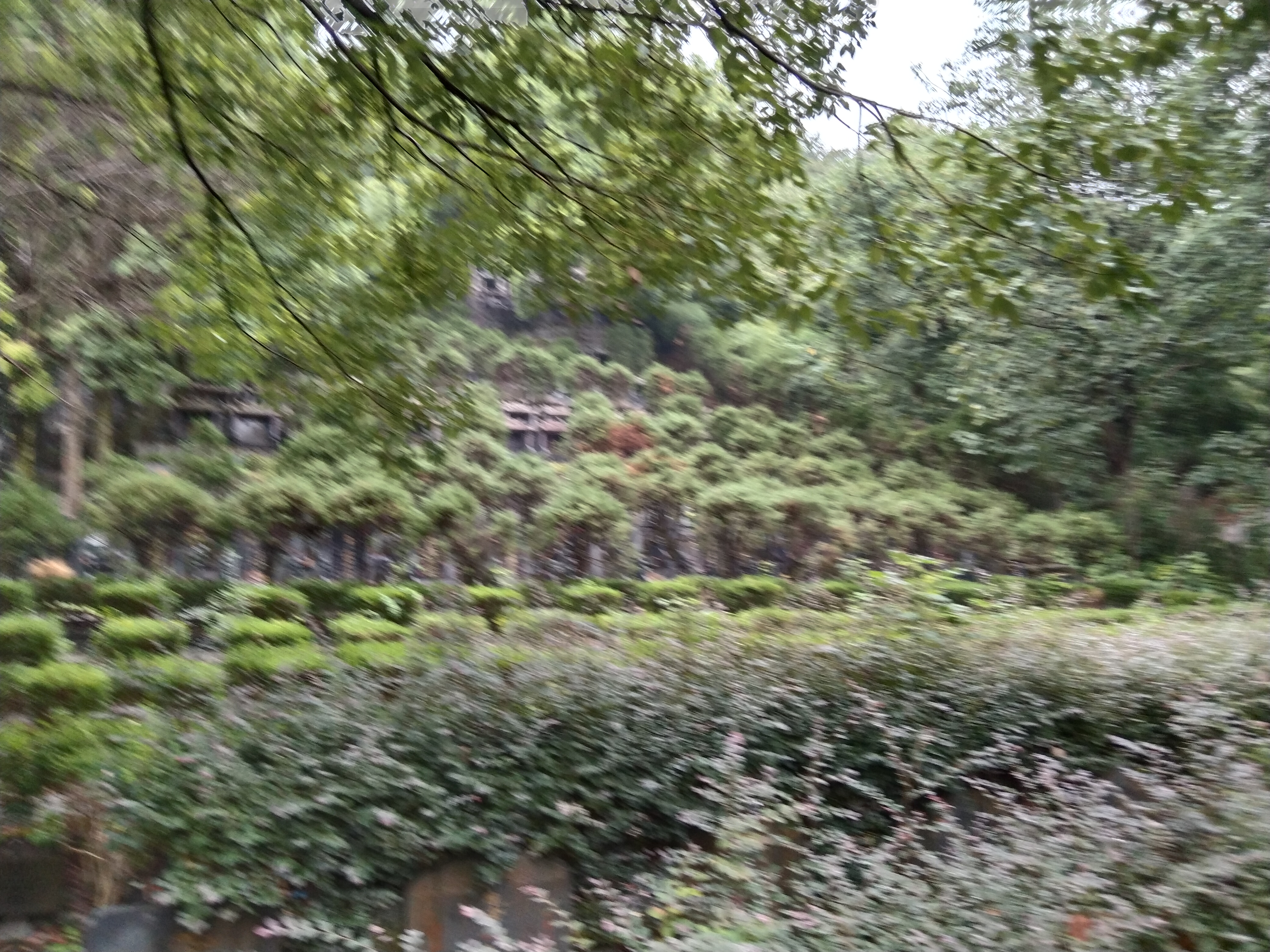 杨汛桥街道大坞山公墓园区图片
