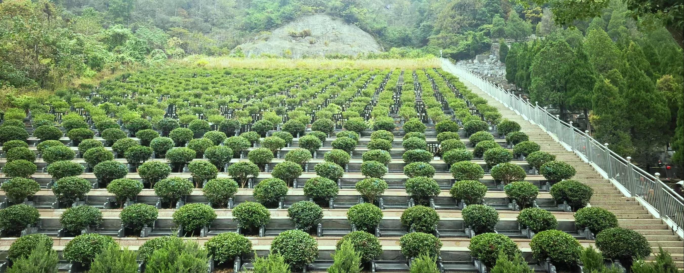 温岭市岙底胡公墓园区图片