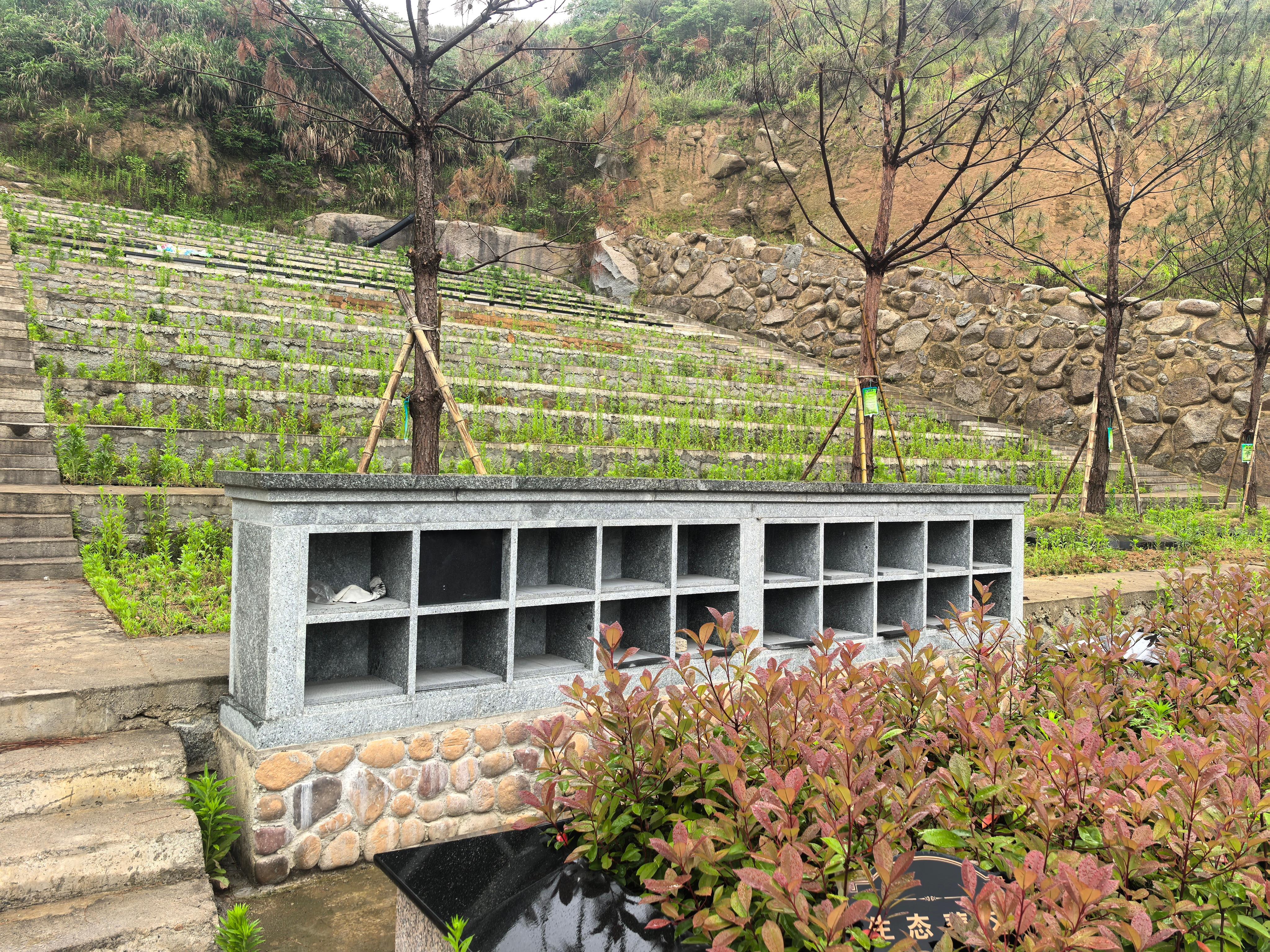 桐庐县钟山乡立夏山公墓园区图片