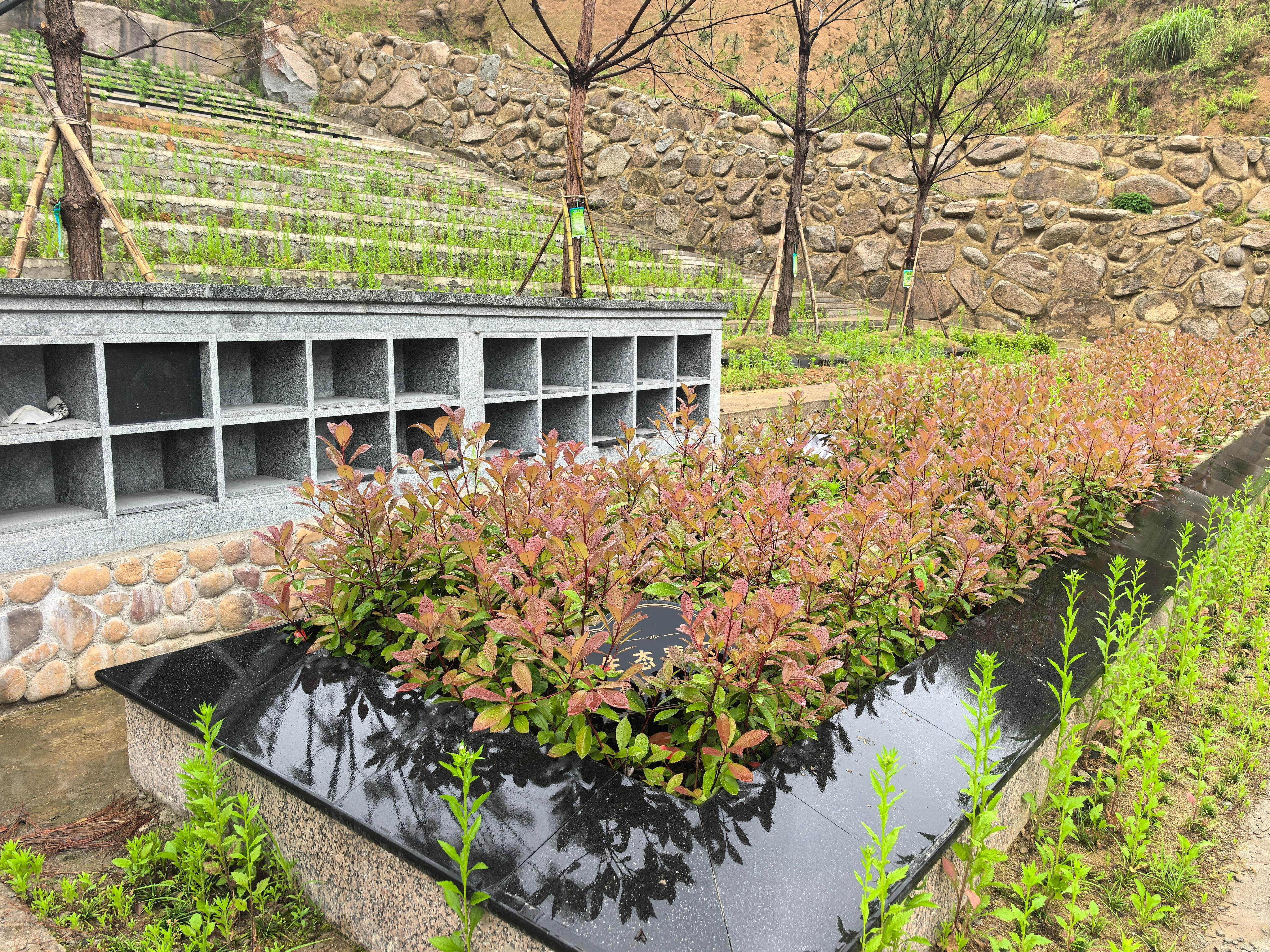 桐庐县钟山乡立夏山公墓园区图片