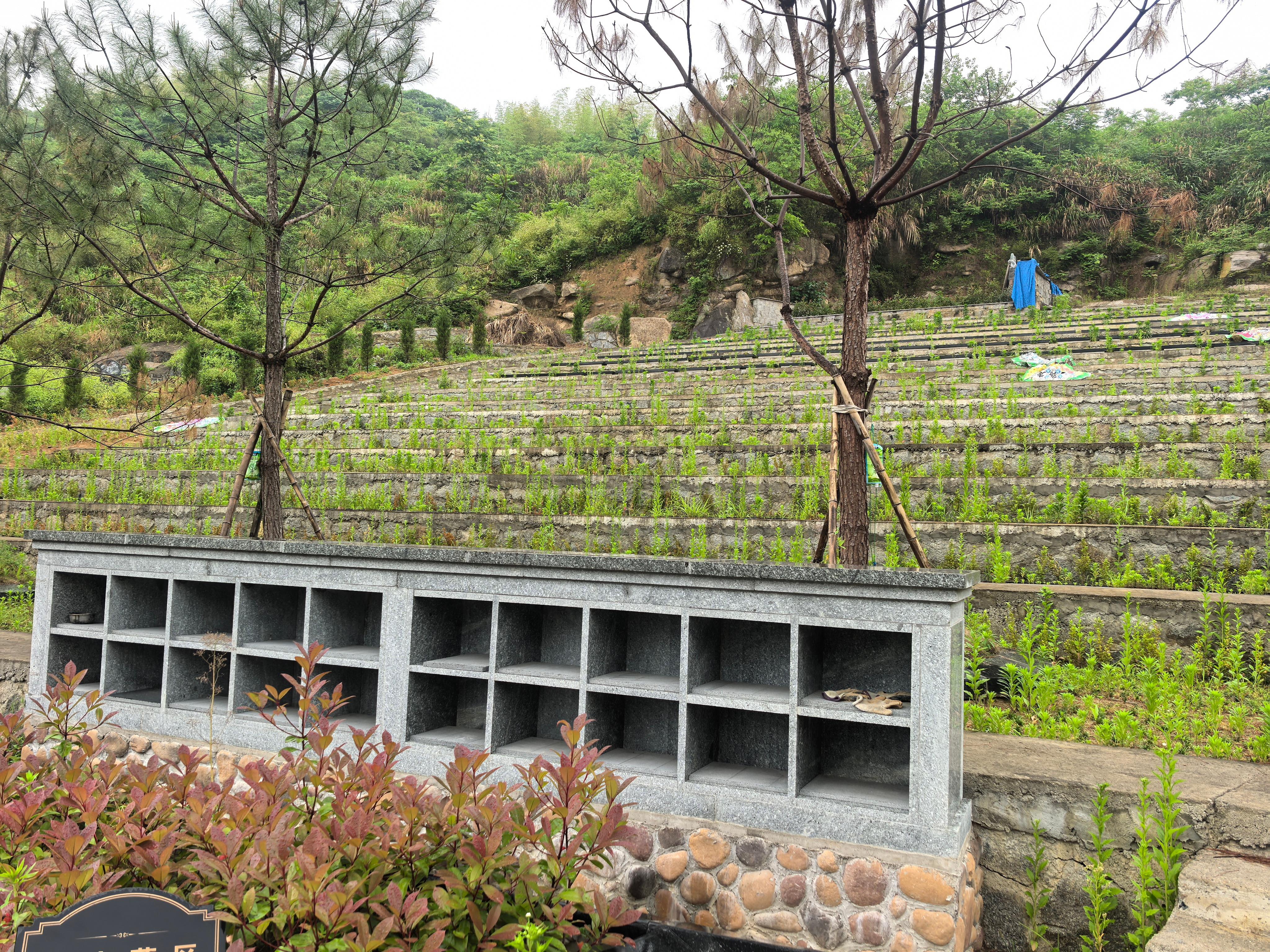 桐庐县钟山乡立夏山公墓园区图片