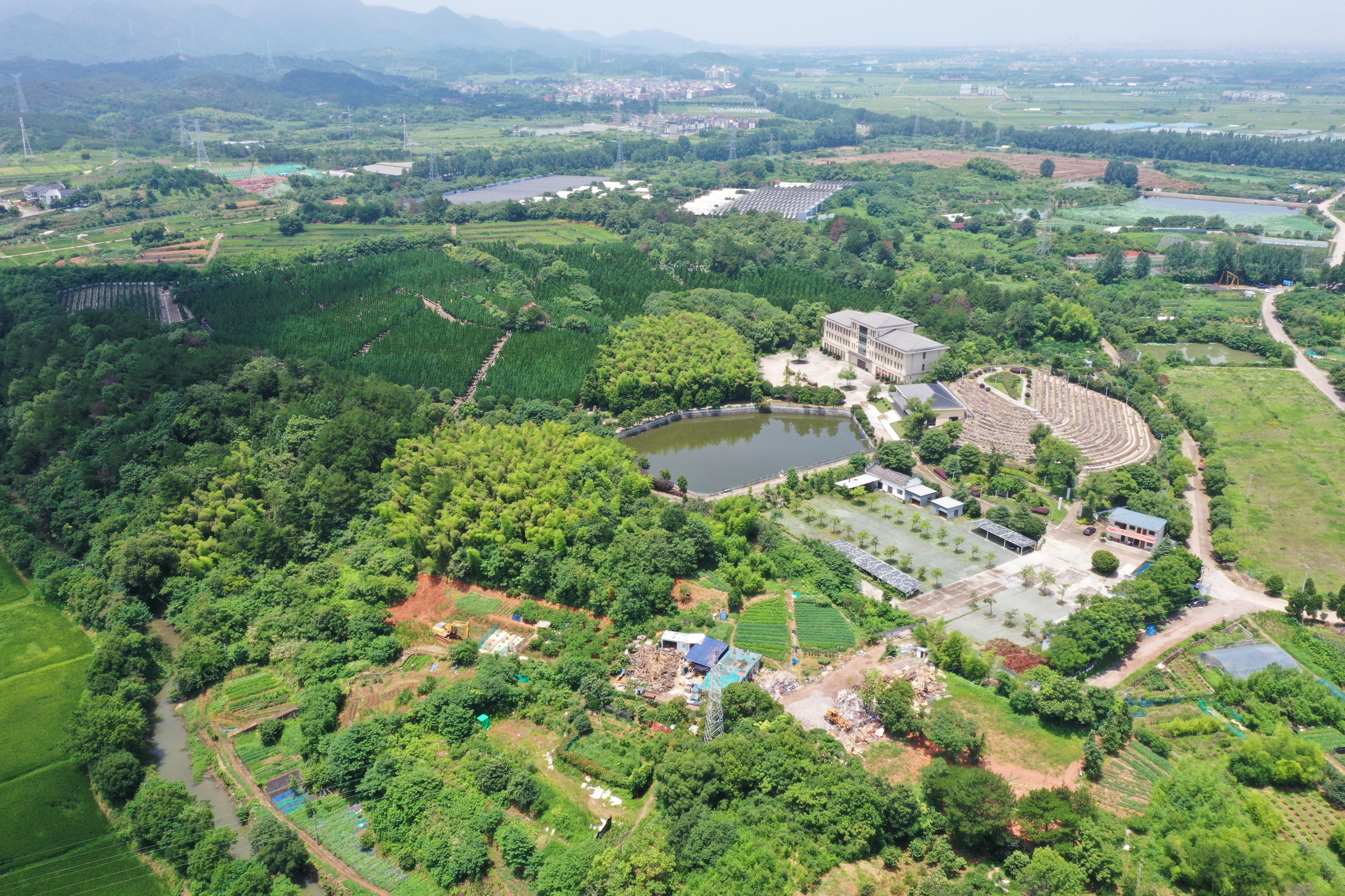 义乌市佛堂镇望月山陵园园区图片
