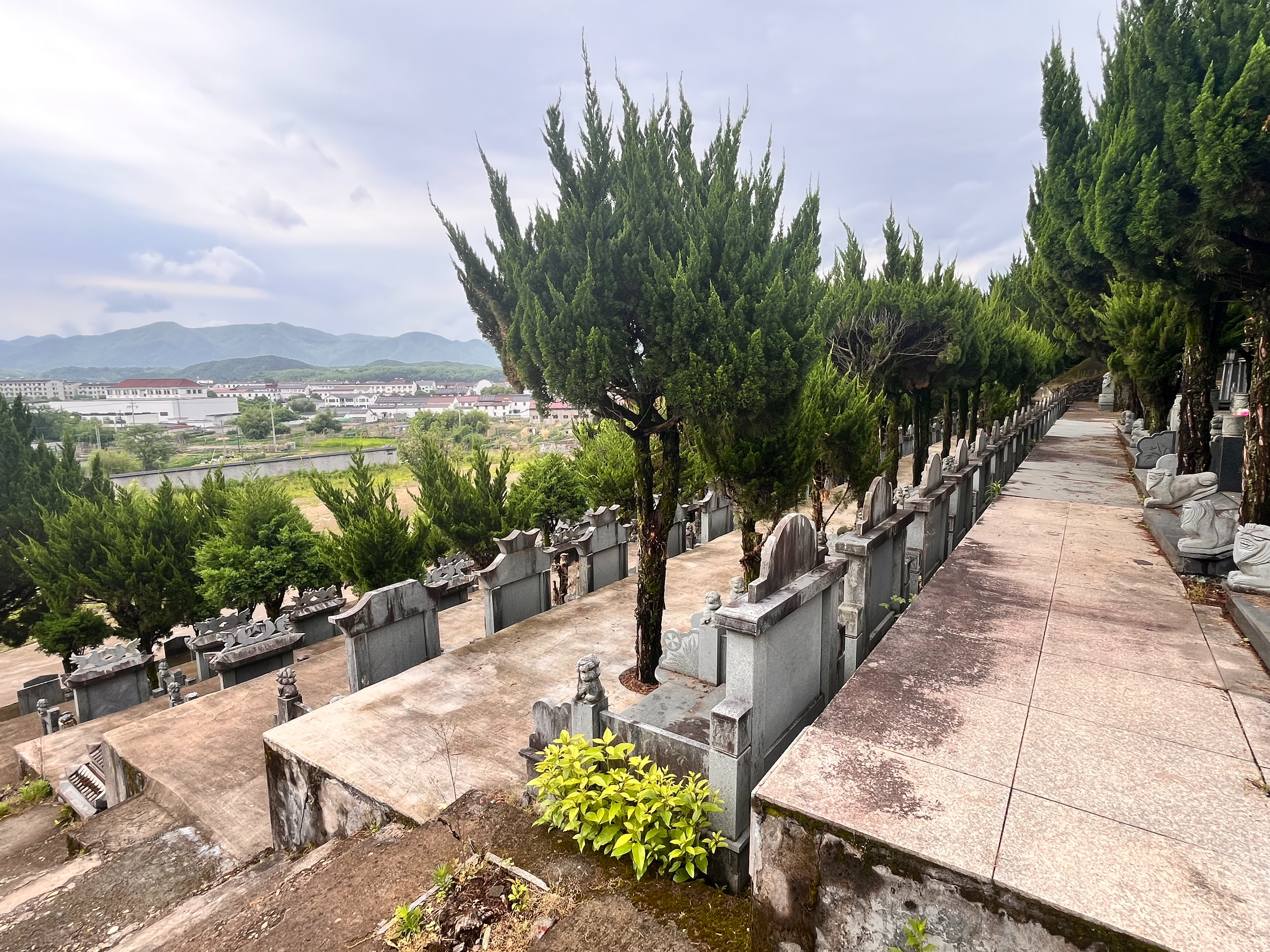 柯桥区王坛镇坎上村宝山公墓园区图片