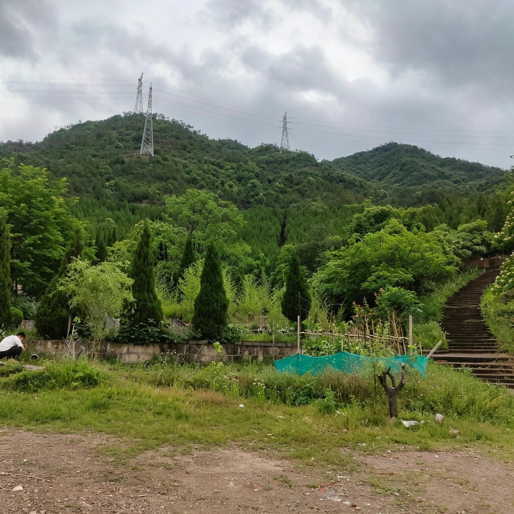 义乌市金峰山公墓园区图片
