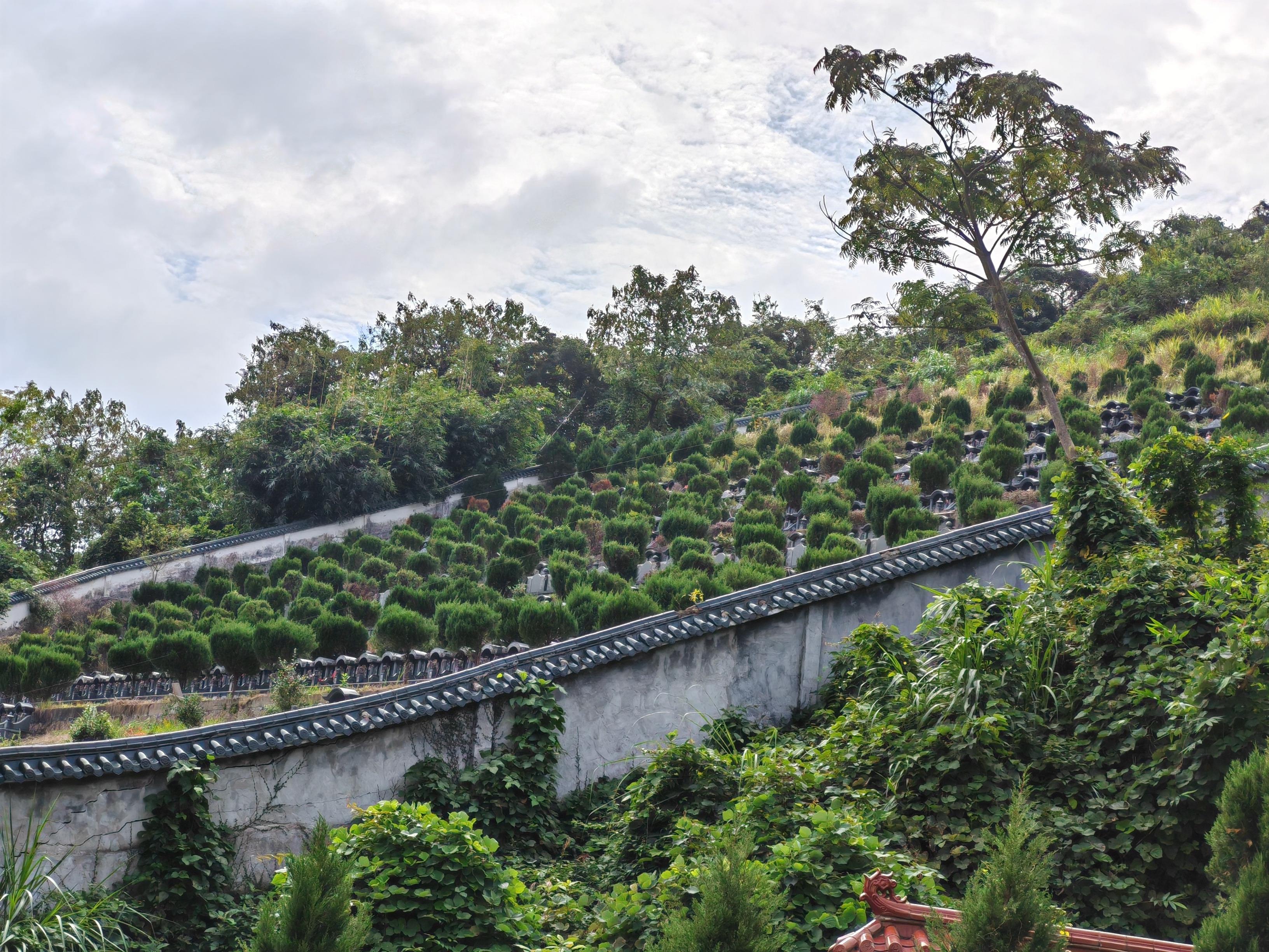 灵溪镇国公山公益性公墓园区图片